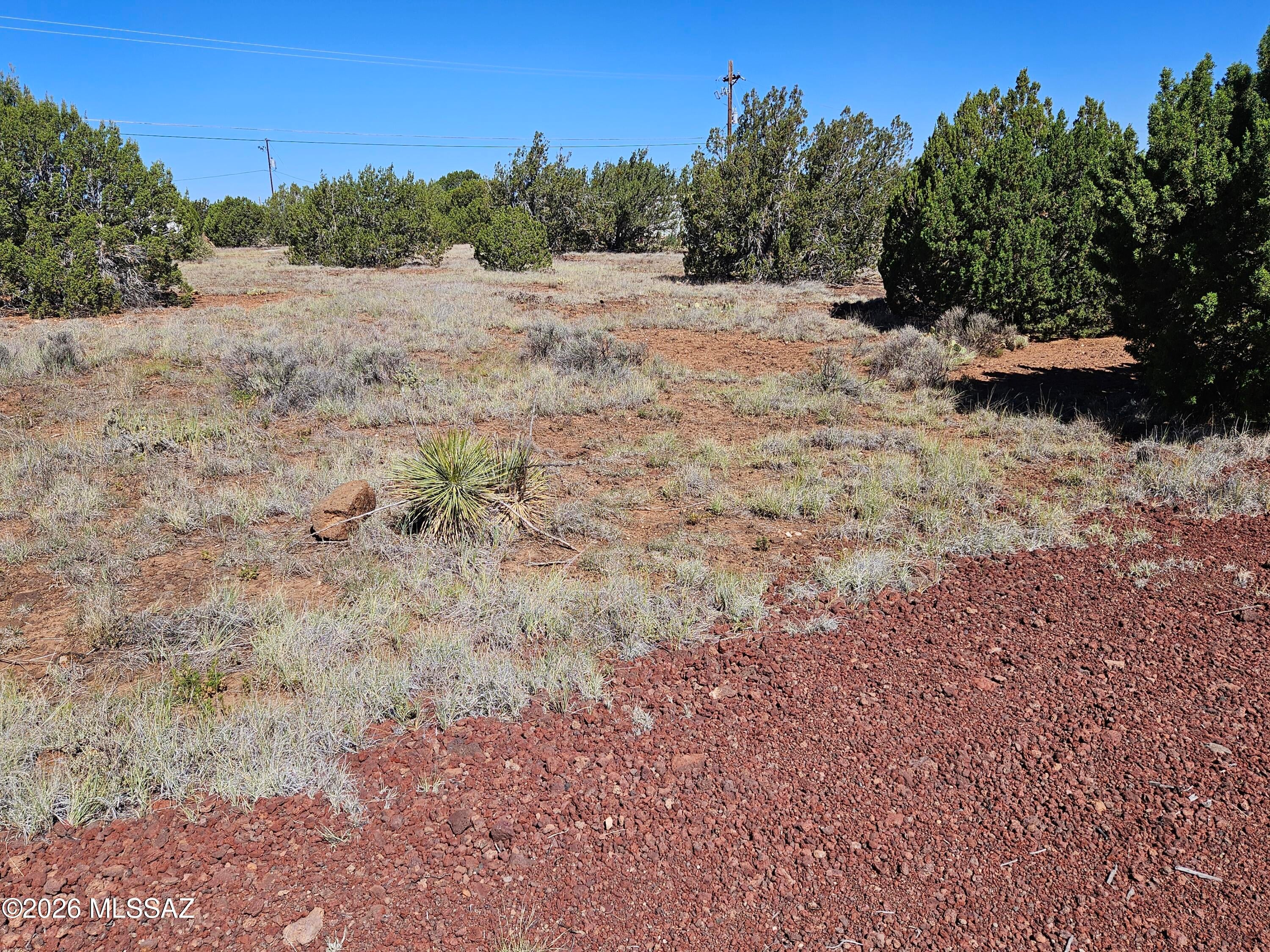 Out Of Pima County - Land