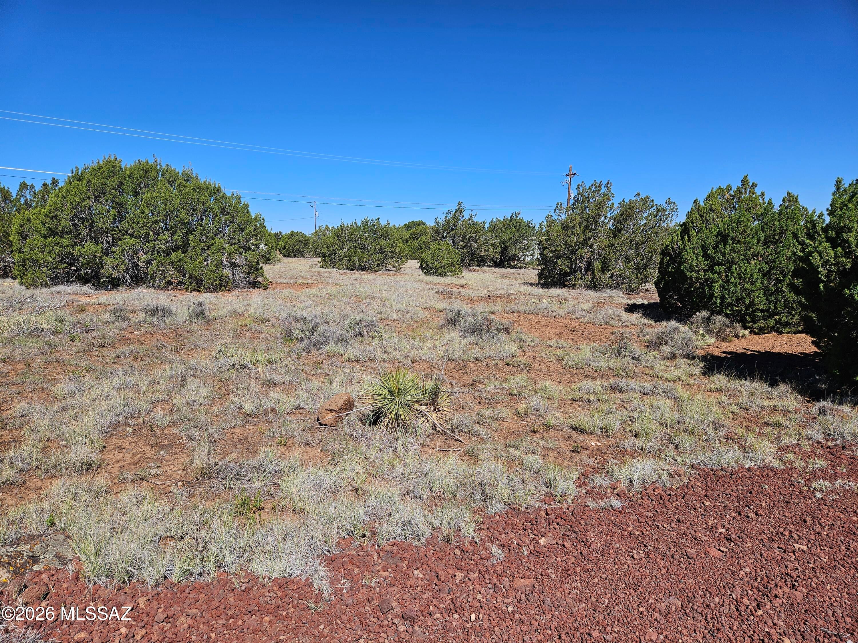 Out Of Pima County - Land