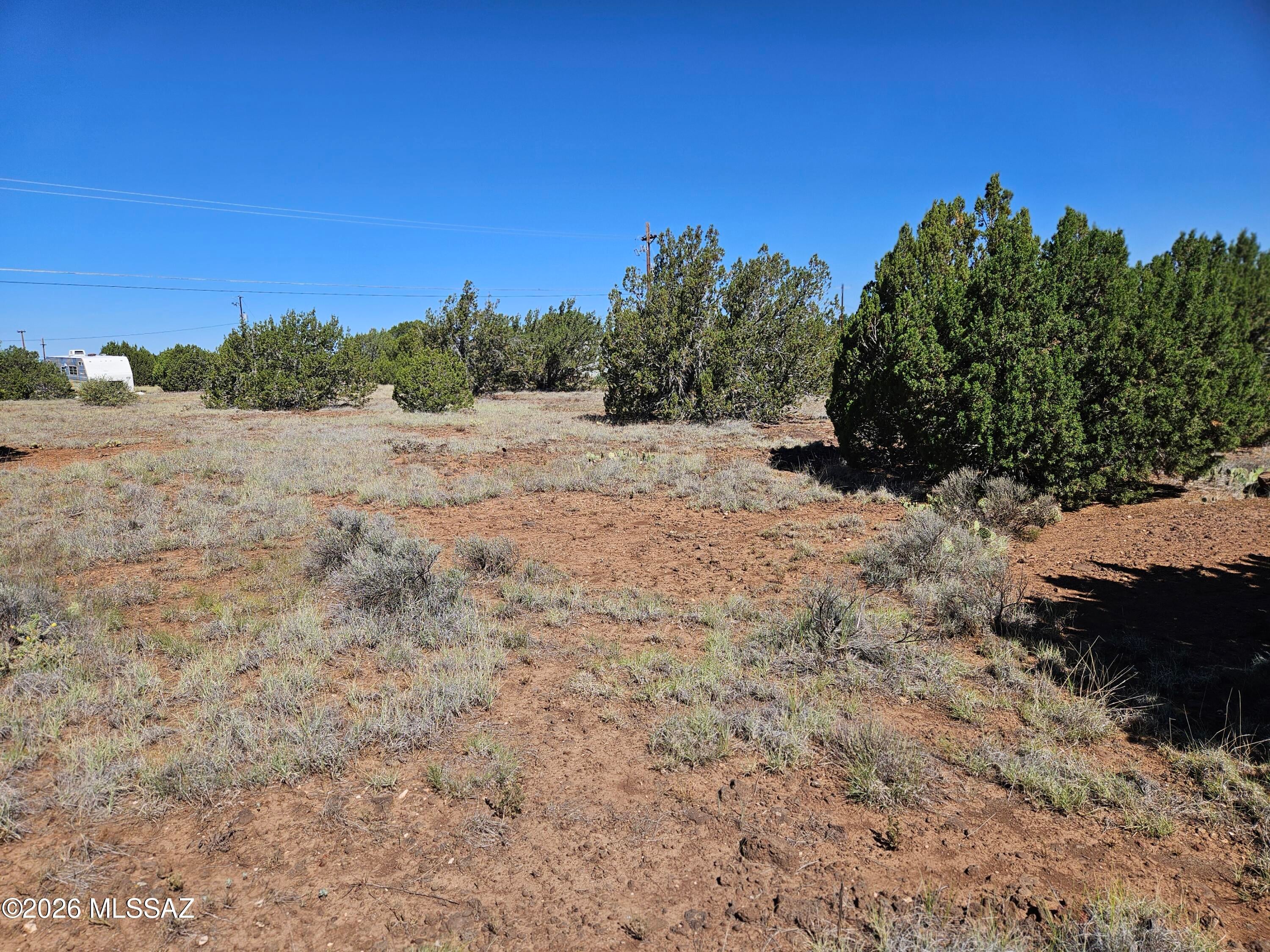 Out Of Pima County - Land