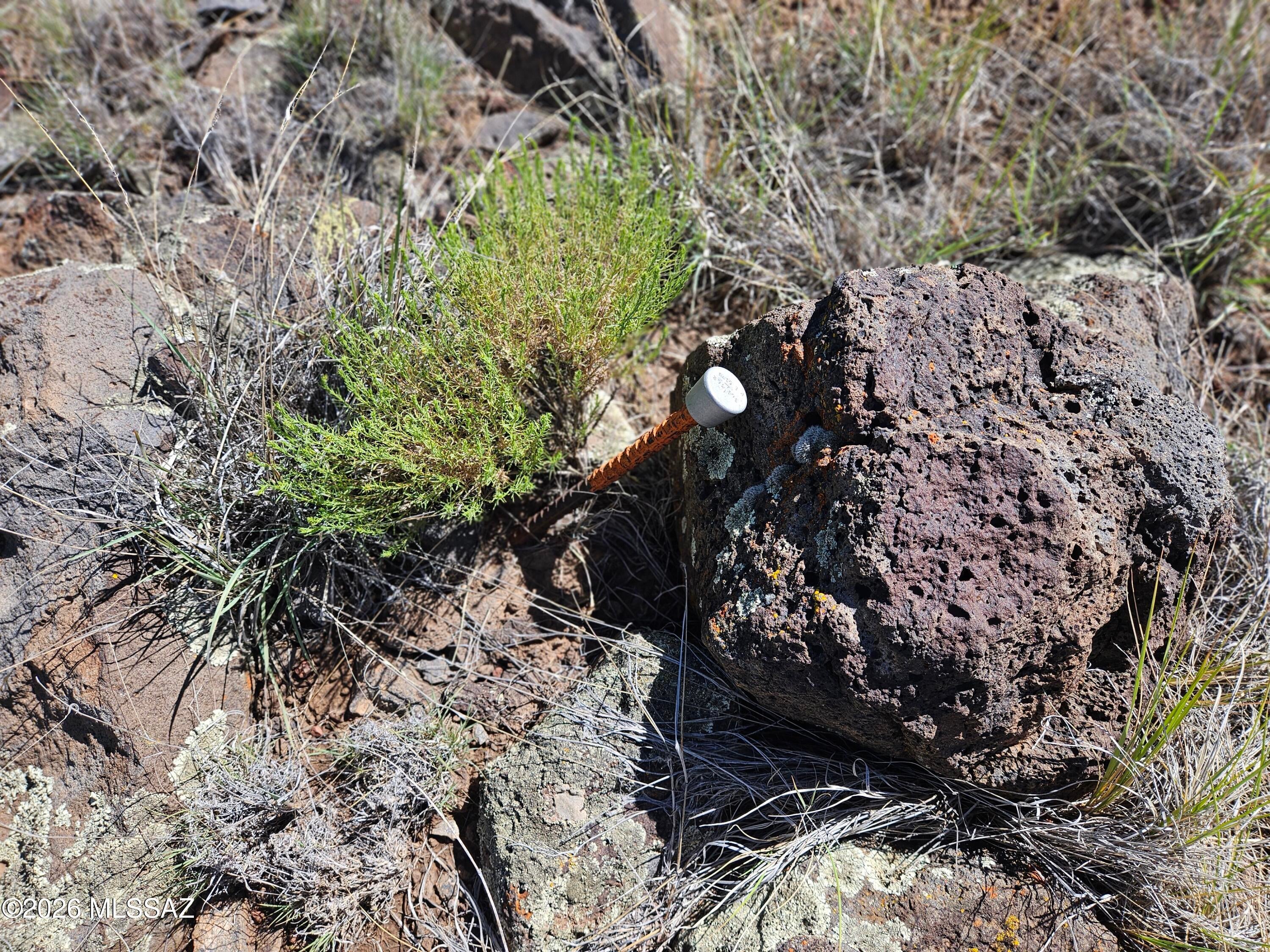 Out Of Pima County - Land