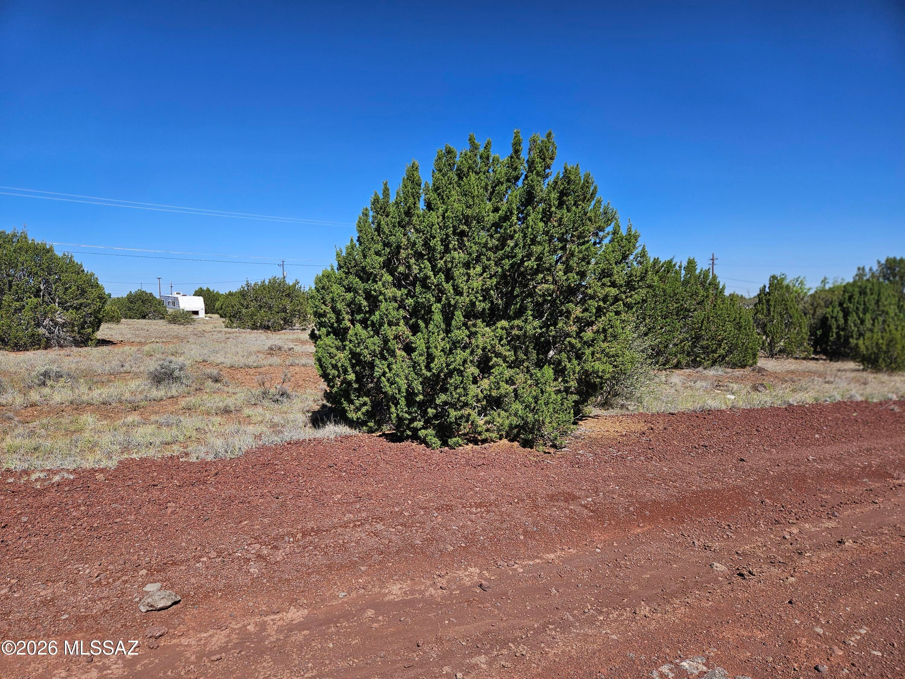 Out Of Pima County - Land
