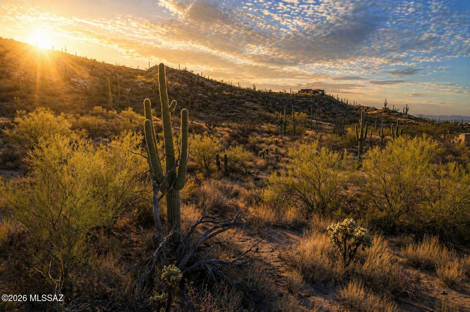 Perched into the hillside, this stunning desert retreat captures sweeping panoramic views in every direction--an ideal canvas to build your dream home. Towering saguaros dot the landscape, creating a true Sonoran Desert experience, while native wildlife regularly wanders through, adding to the serenity and natural beauty of this picturesque 4.09-acre parcel.

Tucked away on a quiet cul-de-sac with a paved road and surrounded by custom homes, this property offers the perfect balance of privacy and convenience. Enjoy the peaceful desert lifestyle just minutes from Agua Caliente Park and the scenic beauty of Mount Lemmon.

This is more than land--it's your opportunity to create a one-of-a-kind desert sanctuary in one of Tucson's most desirable settings.