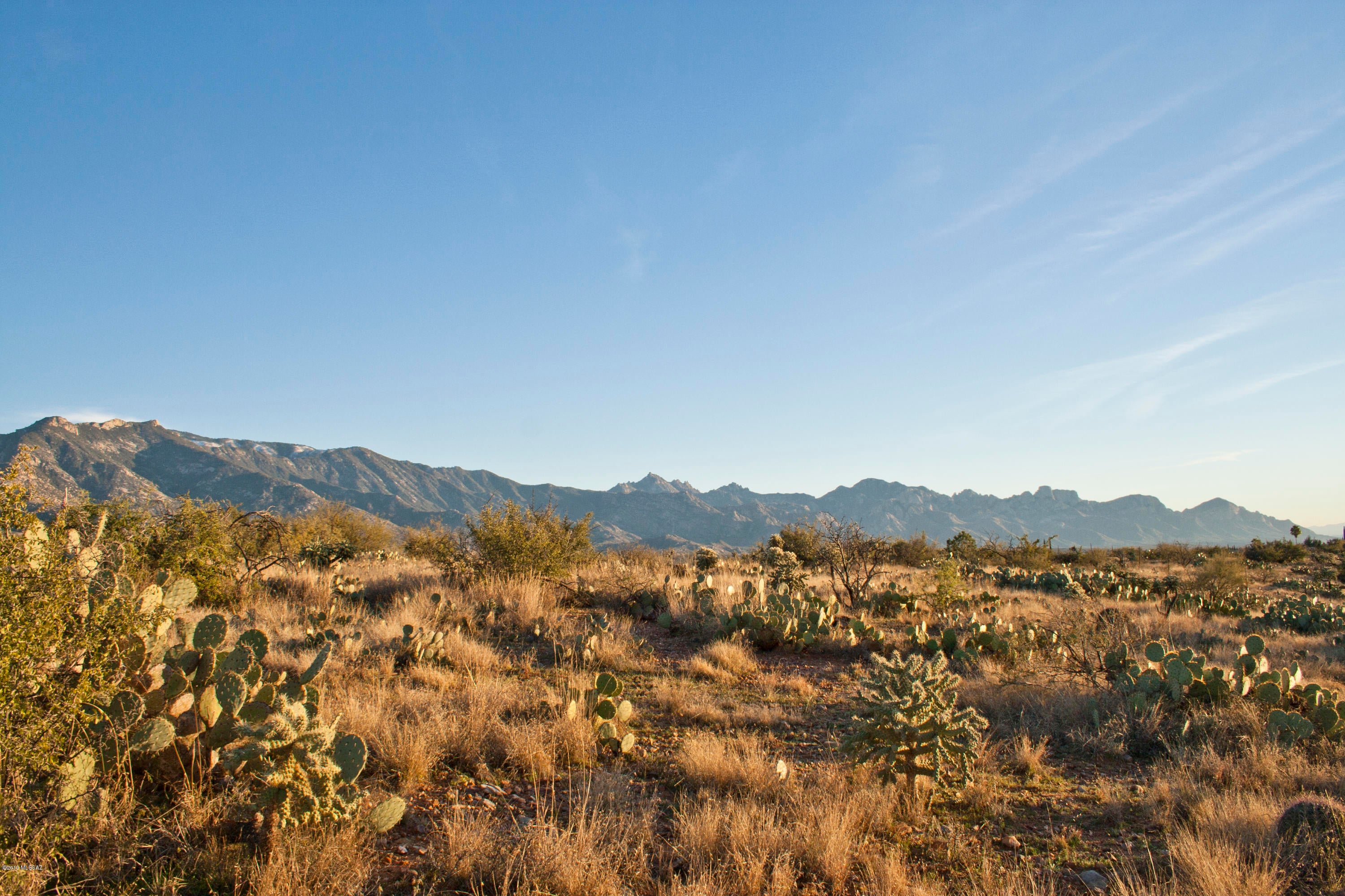 Backing up to State Trust Land, this custom home lot provides an exceptional opportunity to enjoy privacy and uninterrupted views of the Sonoran desert landscape. Located on a quiet cul-de-sac just outside of Saddlebrooke, you get the benefits of a quiet neighborhood while avoiding the HOA fees. The east facing portion of the lot also provides the opportunity for great Catalina Mountain views. This is your chance to create the custom home of your dreams on an exceptional lot. Contact the listing agent for a detailed tour, including boundary identification and build ideas.