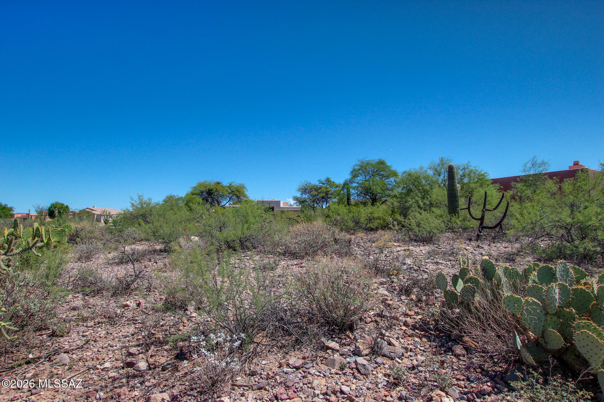 Madera Reserve Phase I(1-130) - Land