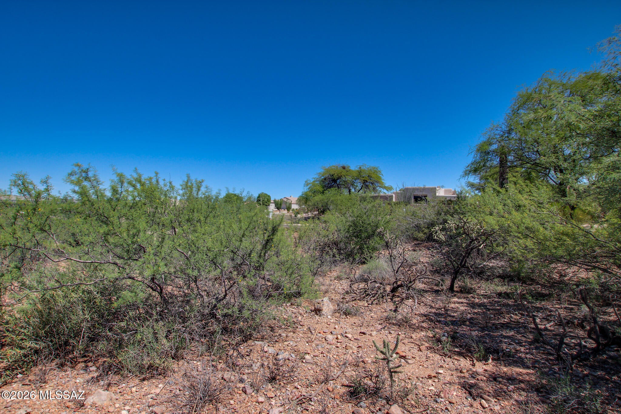Madera Reserve Phase I(1-130) - Land