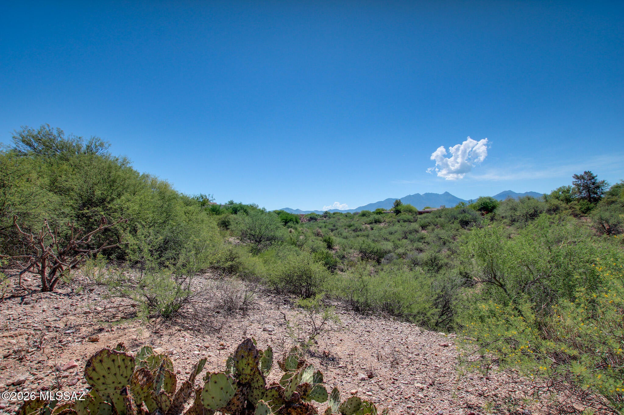 Madera Reserve Phase I(1-130) - Land