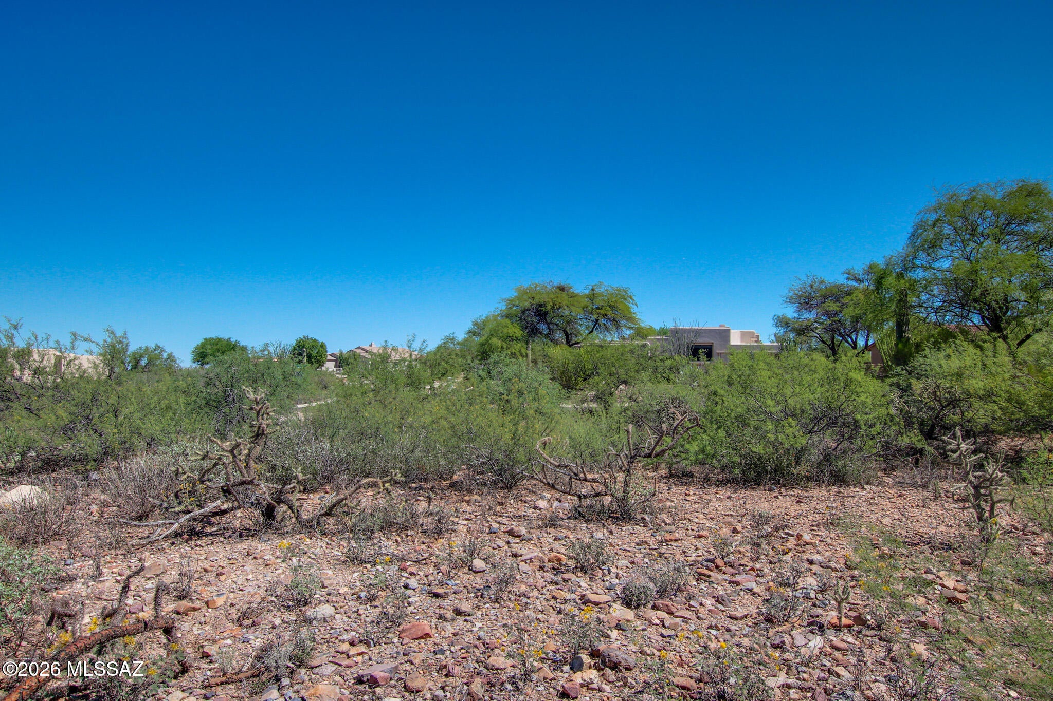 Madera Reserve Phase I(1-130) - Land