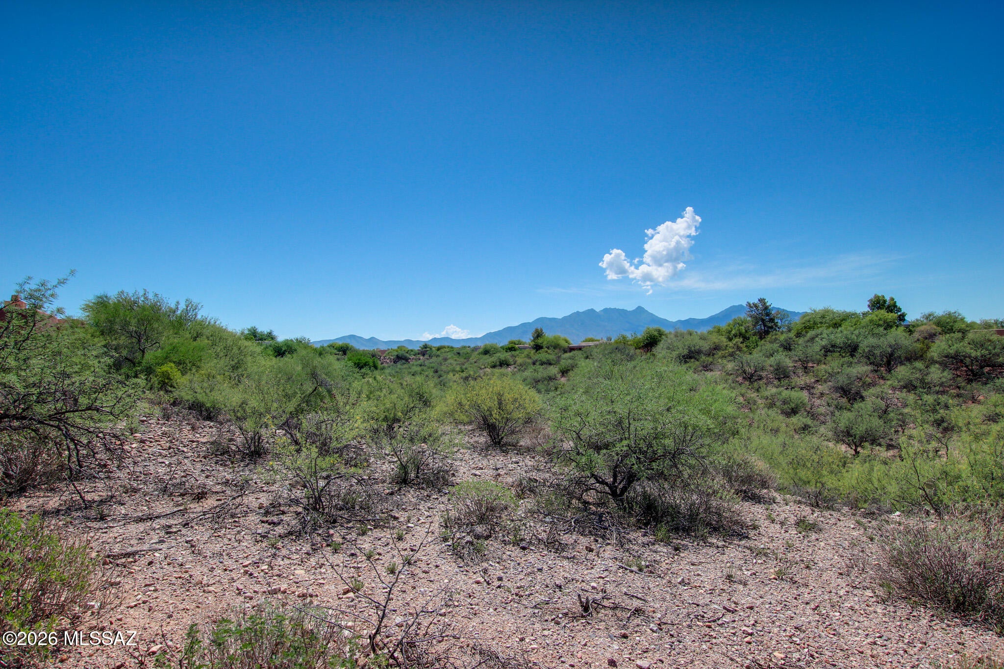 Madera Reserve Phase I(1-130) - Land