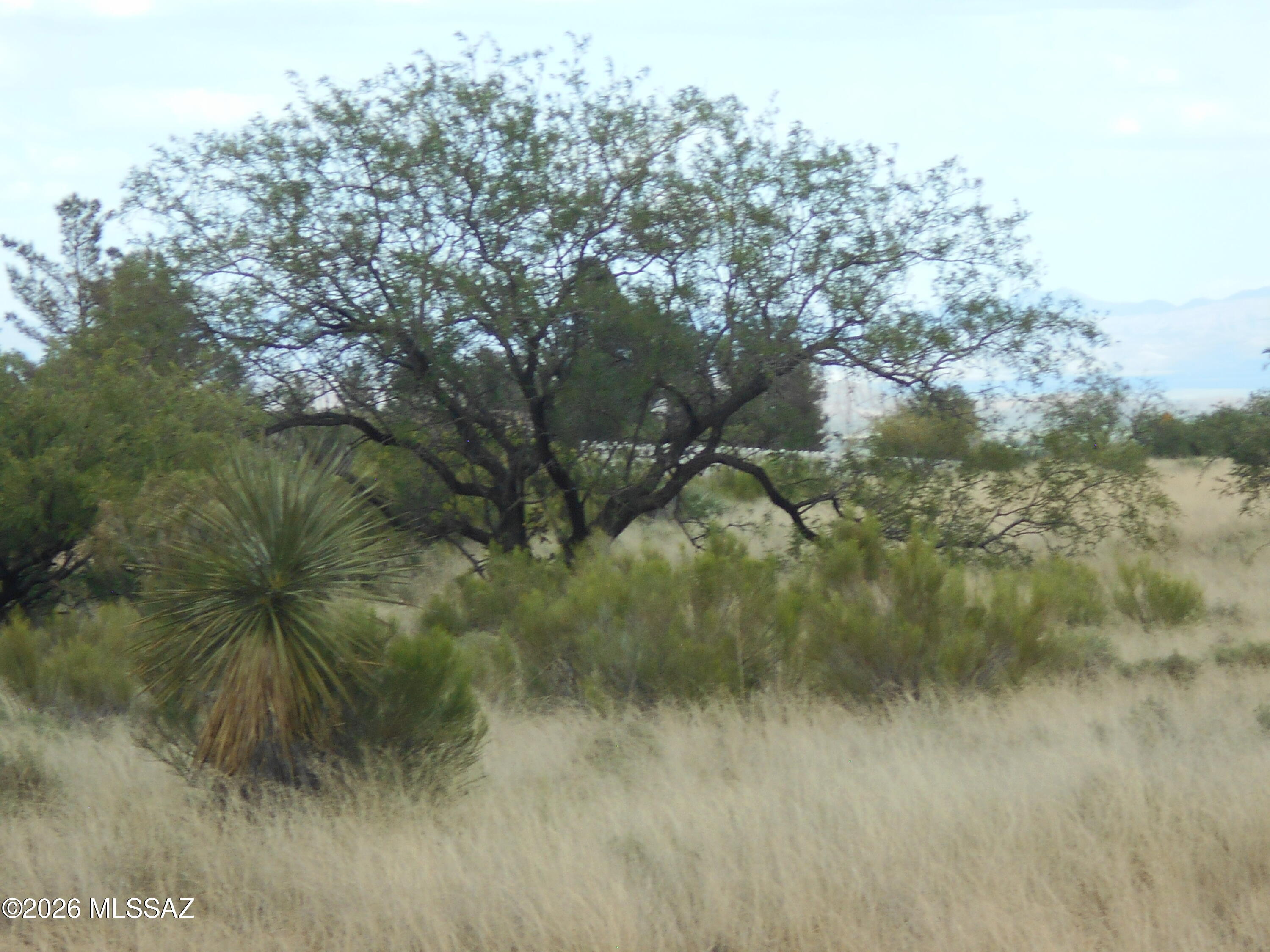 Arizona Sun Sites - Land