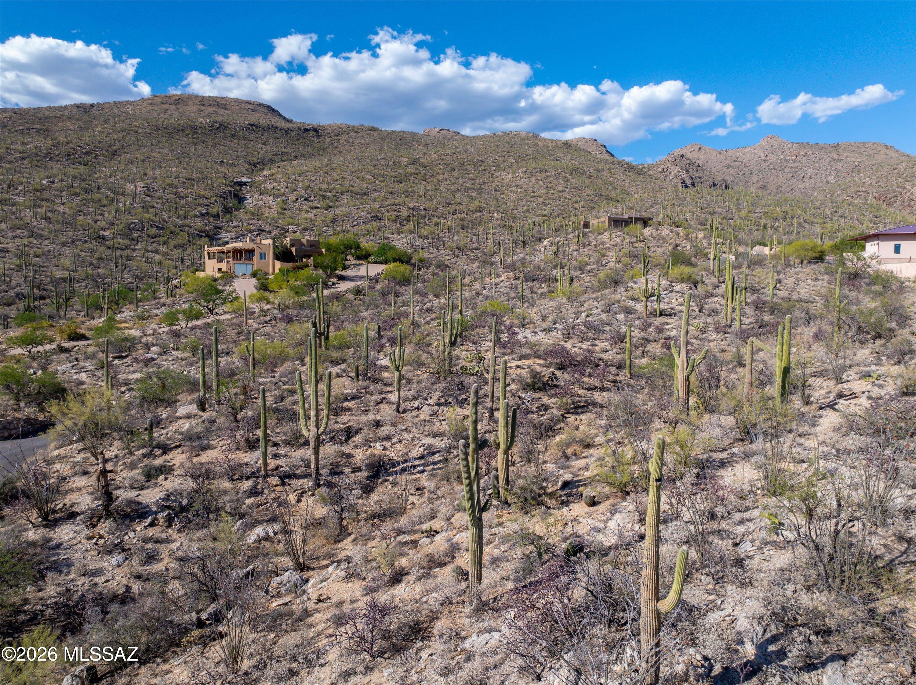 Estrella Vista Estates (1-23) - Land