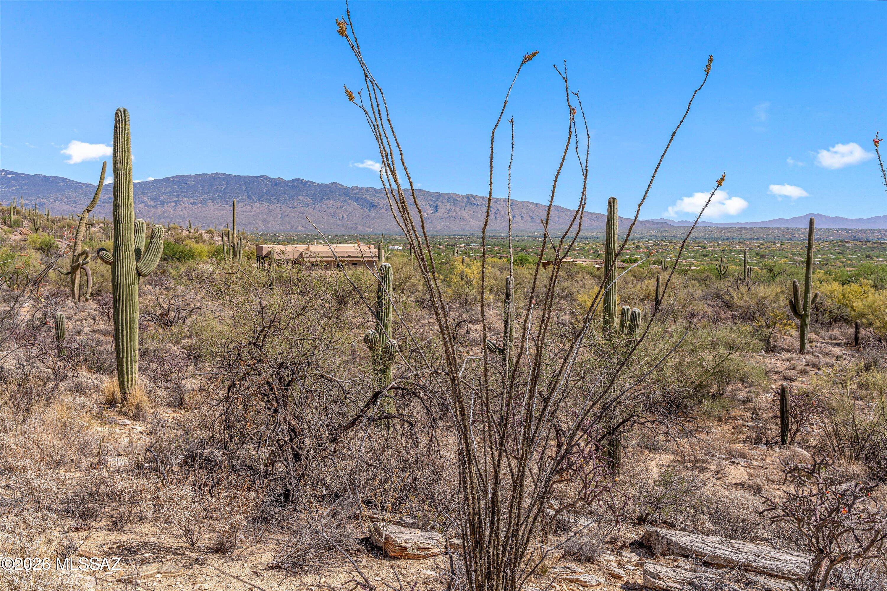 Estrella Vista Estates (1-23) - Land