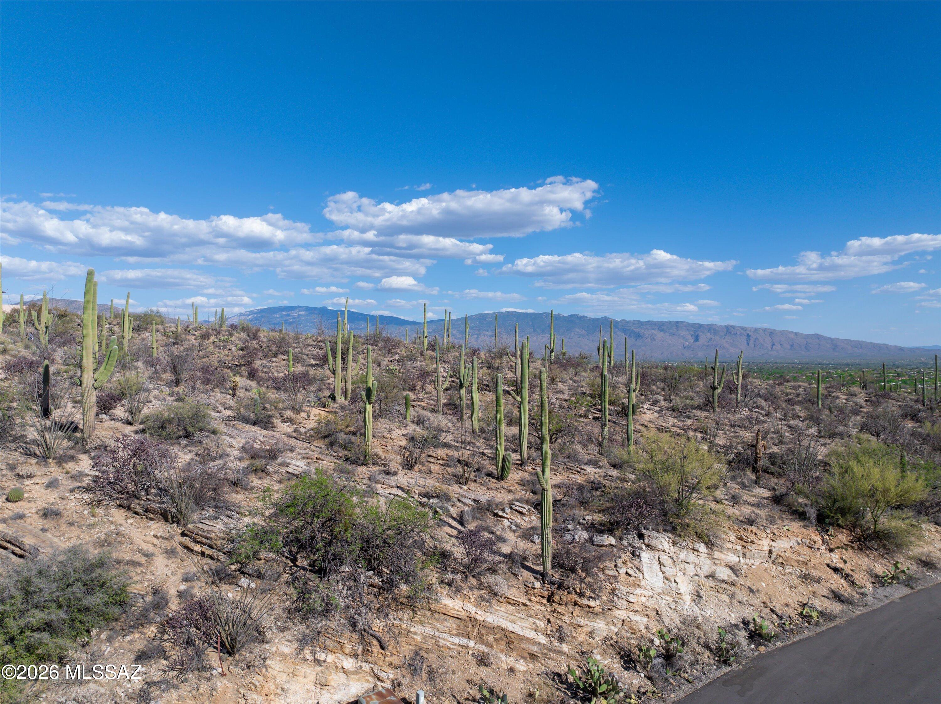 Estrella Vista Estates (1-23) - Land