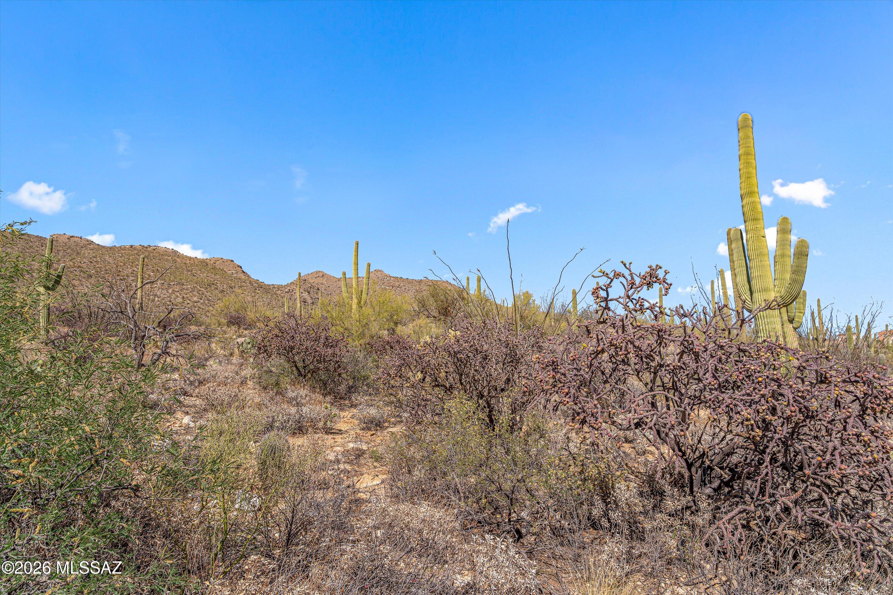 Estrella Vista Estates (1-23) - Land