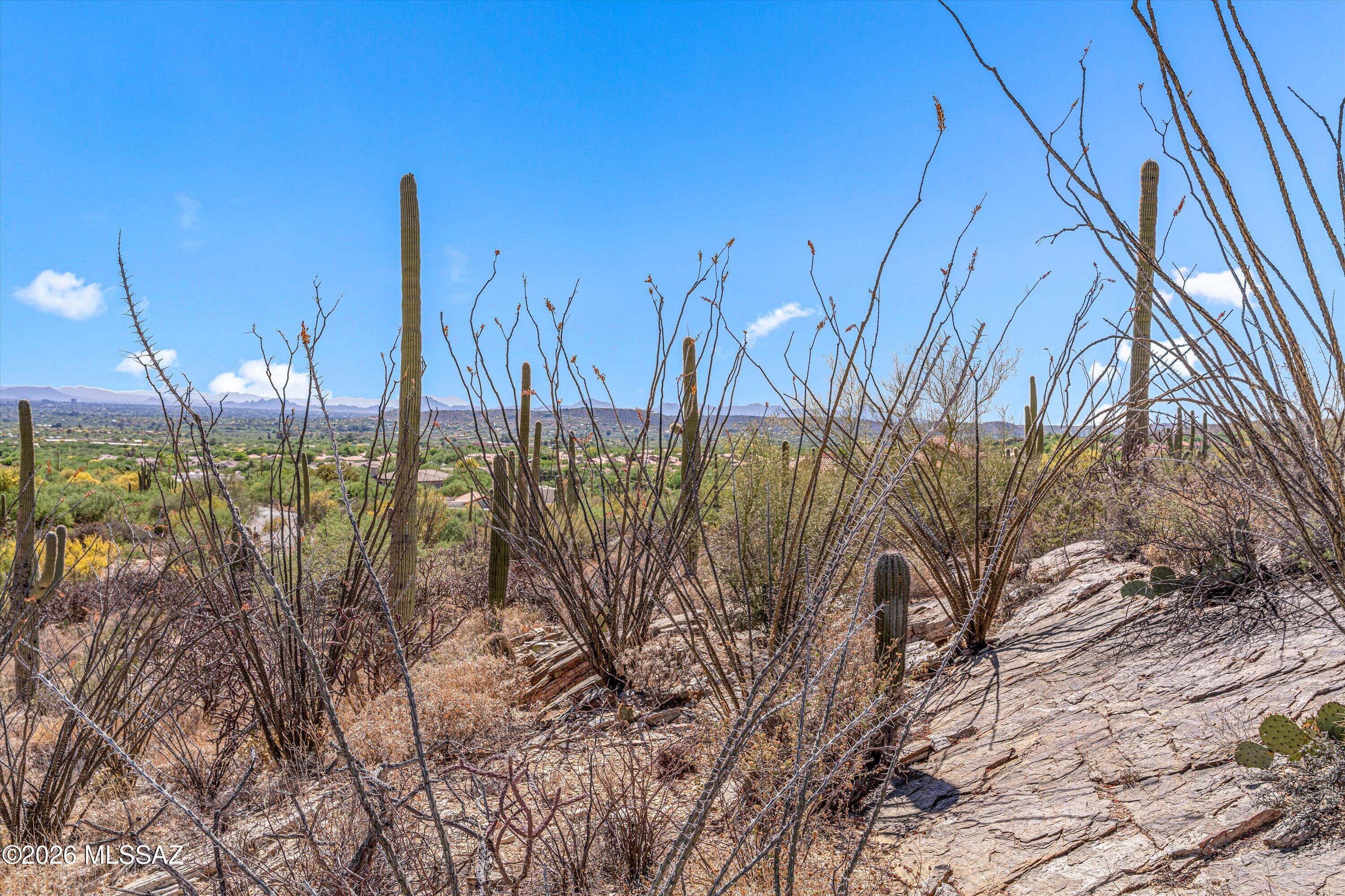 Estrella Vista Estates (1-23) - Land