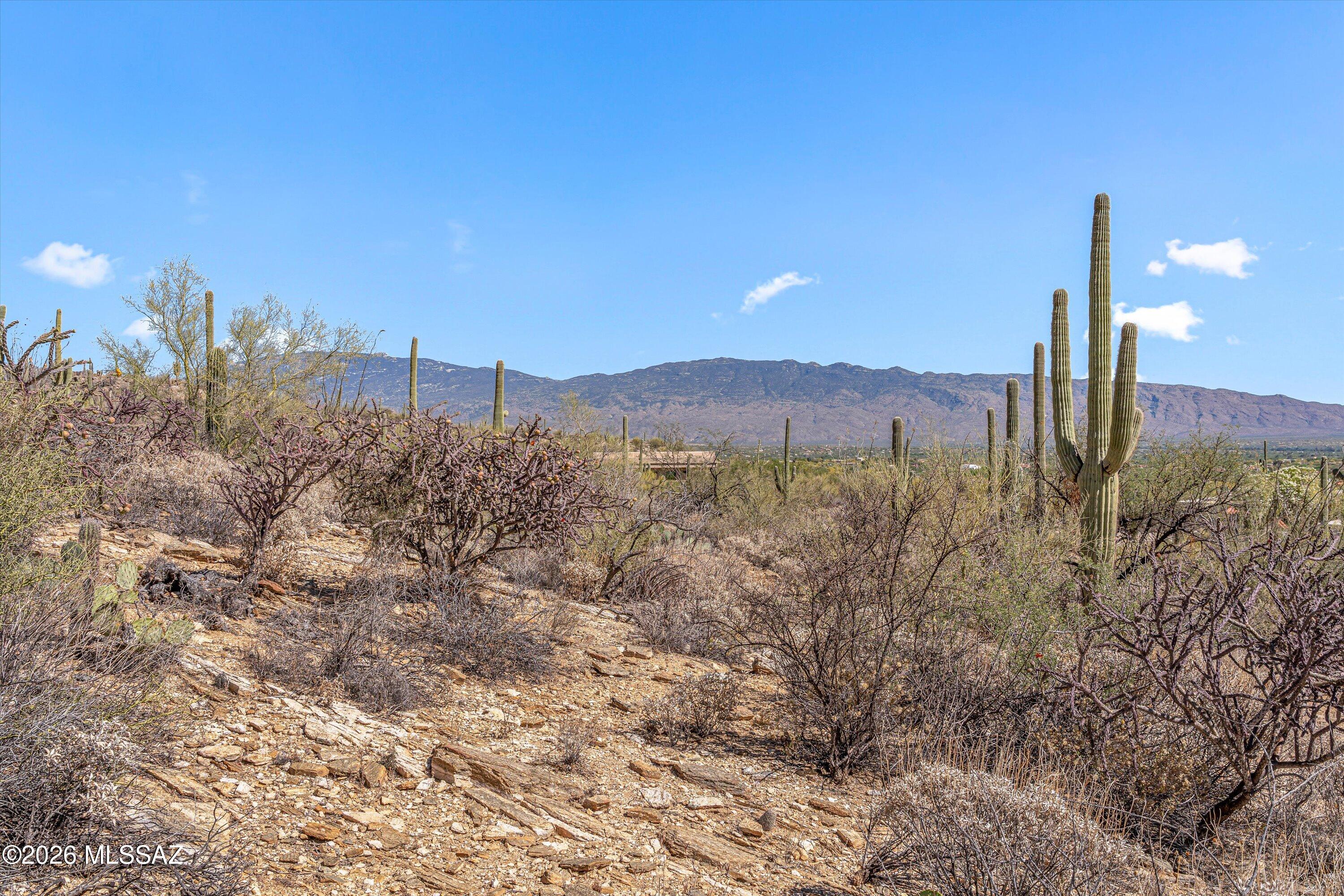 Estrella Vista Estates (1-23) - Land