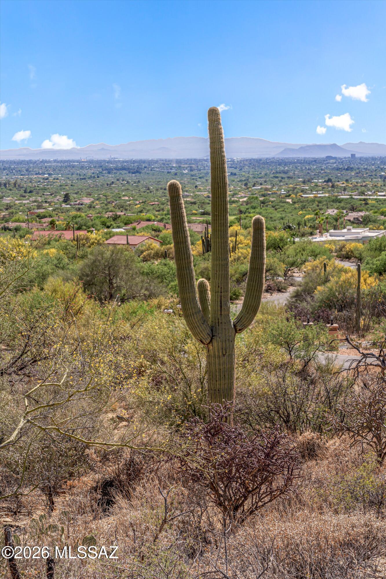 Estrella Vista Estates (1-23) - Land