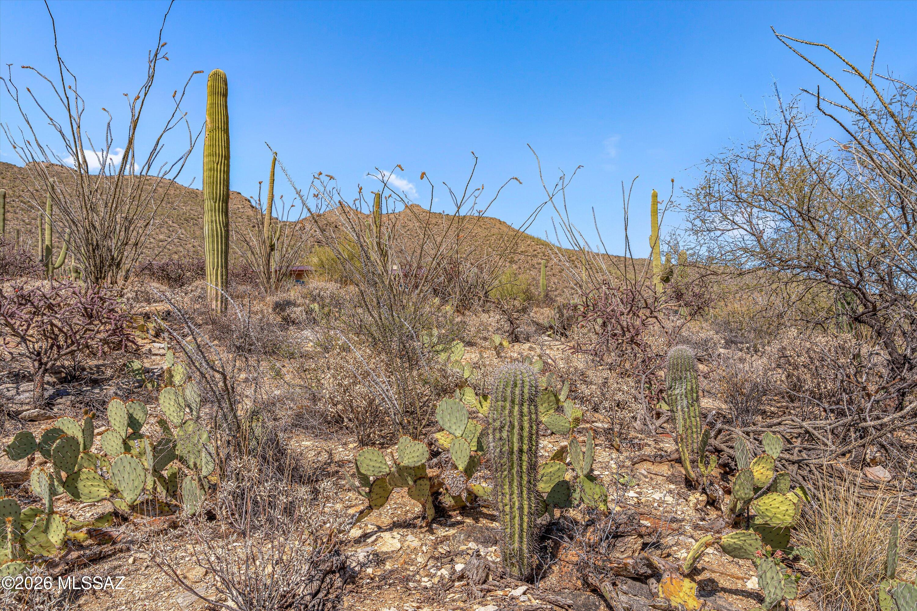 Estrella Vista Estates (1-23) - Land