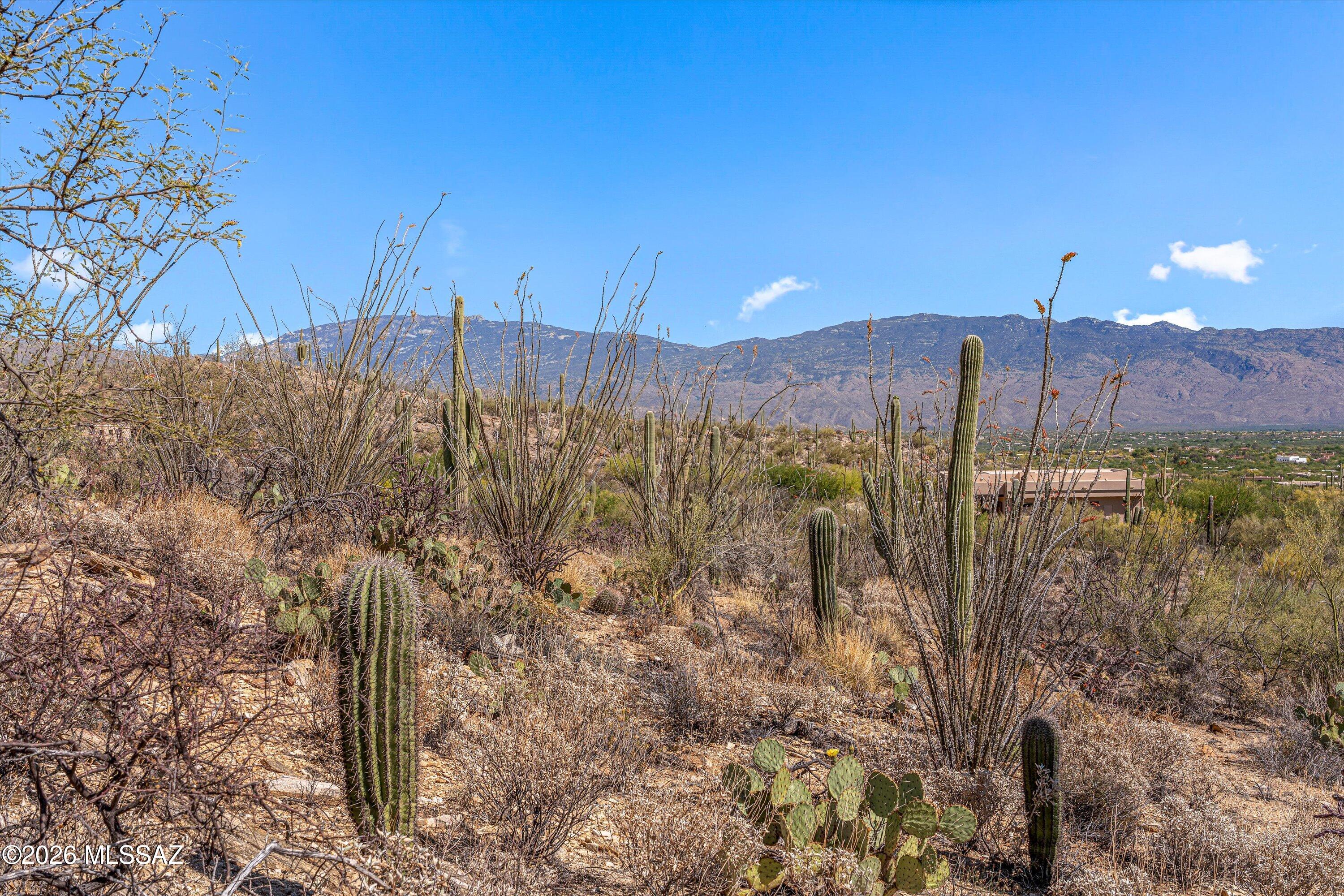 Estrella Vista Estates (1-23) - Land