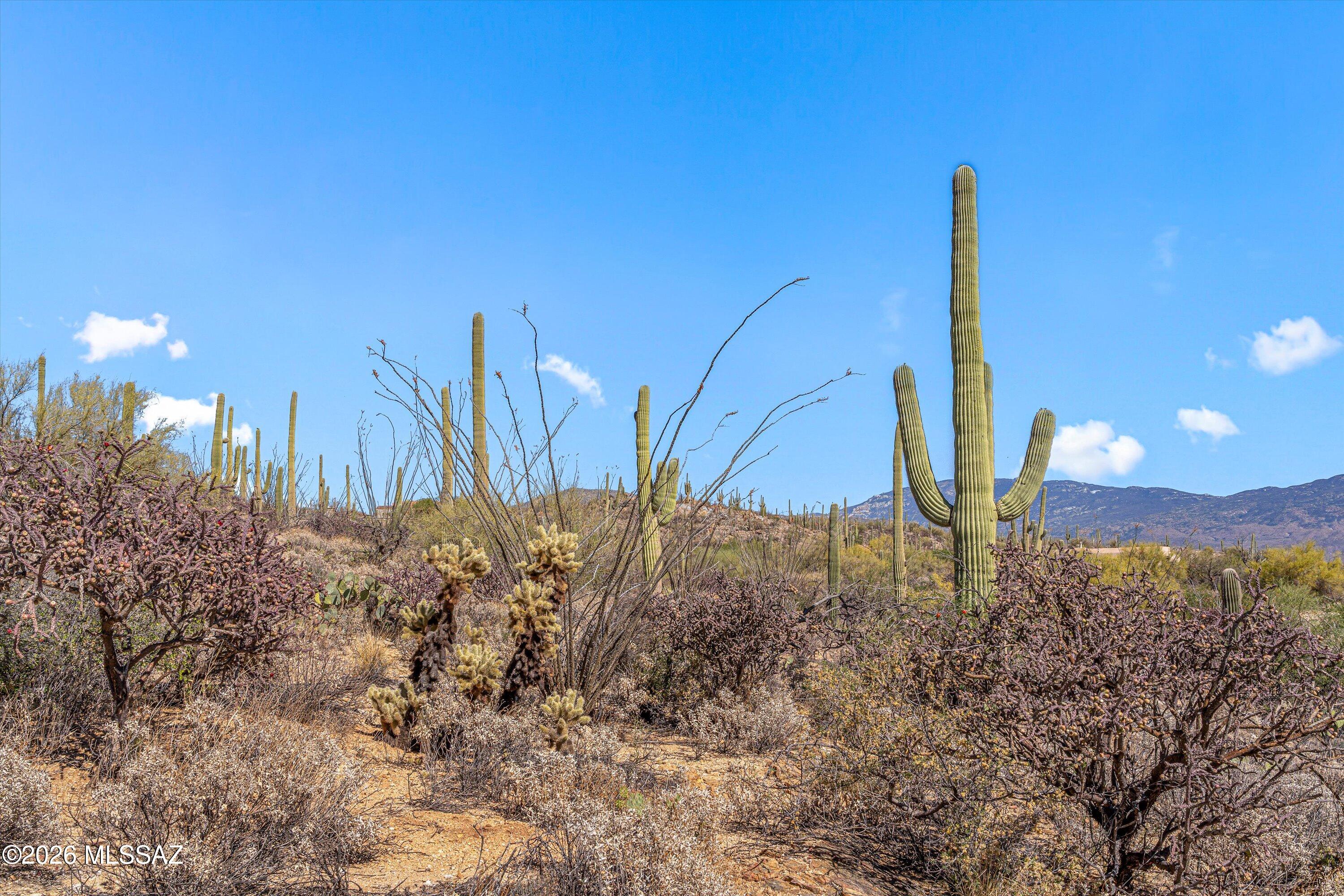 Build your dream home on this stunning 2.03-acre saguaro-studded lot nestled in an intimate gated community surrounded by million-dollar homes. Enjoy breathtaking panoramic views with both sparkling city lights and majestic mountain backdrops. A survey is available, and utilities are conveniently located at the lot line (septic system needed). Located near the Arizona National Golf Course and just a short drive to Mt. Lemmon for year-round recreation. Located in the highly regarded Tanque Verde School District. This is a rare opportunity to create a custom retreat in one of Tucson's most desirable NE areas.