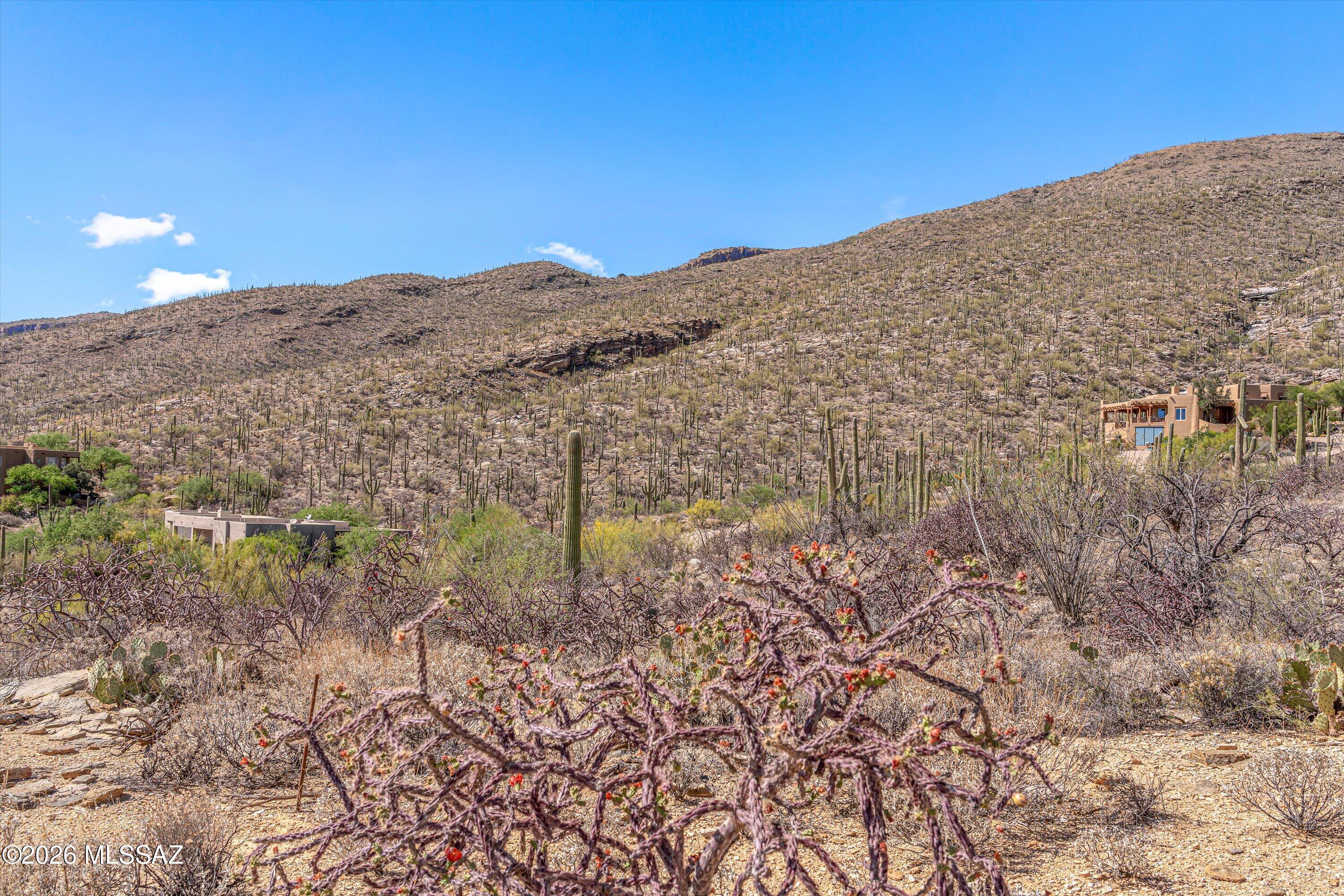 Estrella Vista Estates (1-23) - Land