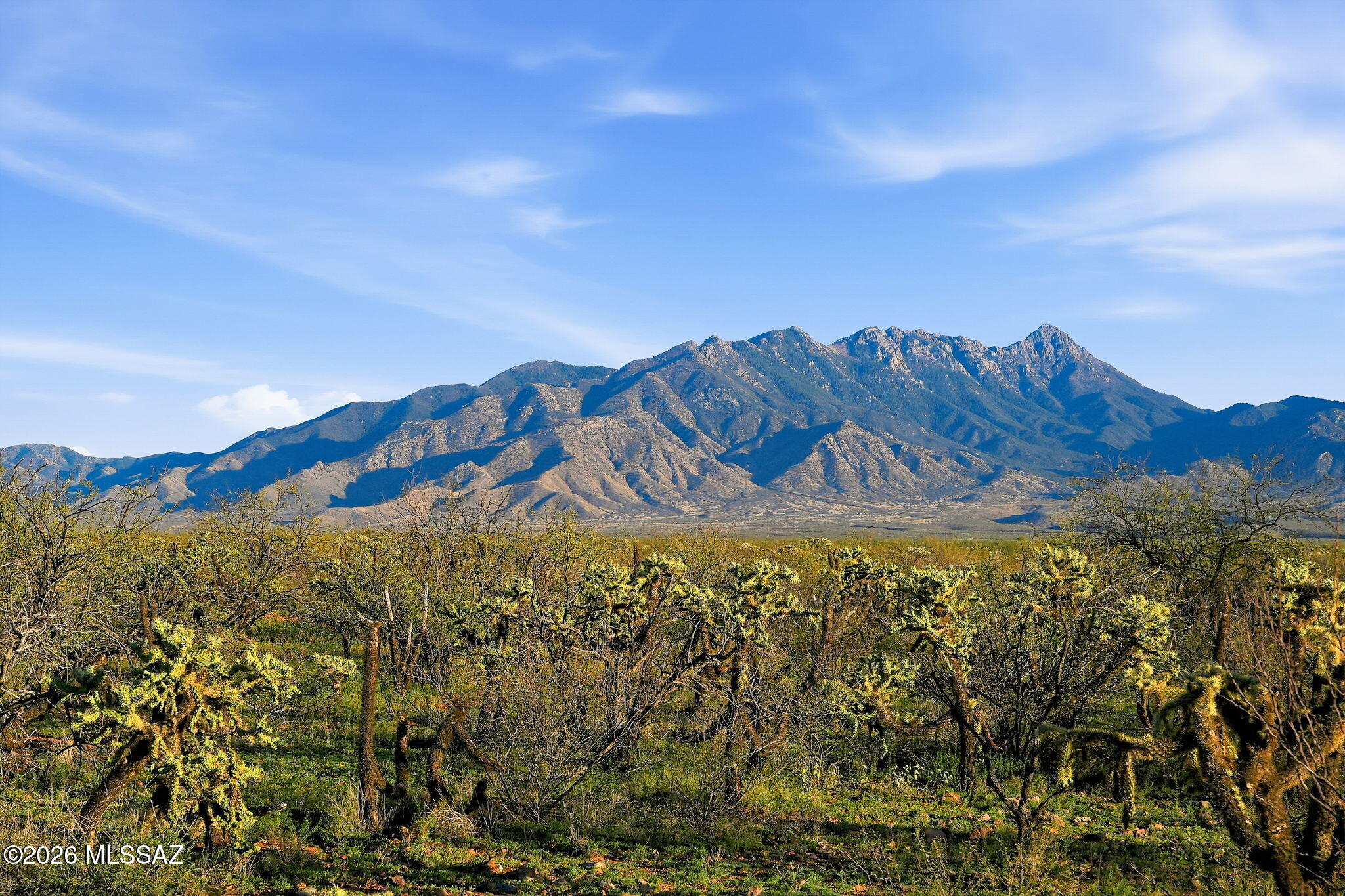 Nestled in the heart of Southern Arizona's magnificent high desert, this stunning lot offers an extraordinary canvas for the home you've been imagining, with plenty of space, privacy and natural beauty. This dramatic setting is nothing short of breathtaking. Sweeping vistas stretch endlessly across pristine desert landscapes, while the majestic Santa Rita Mountains paint an ever-changing backdrop. Build that incredible patio with the pool, hot tub and outdoor kitchen! Have that four car garage you've always wanted! Add your mother-in law/guest casita and stop worrying about what the future will bring! Chose your own builder and begun your journey to your forever dream home!