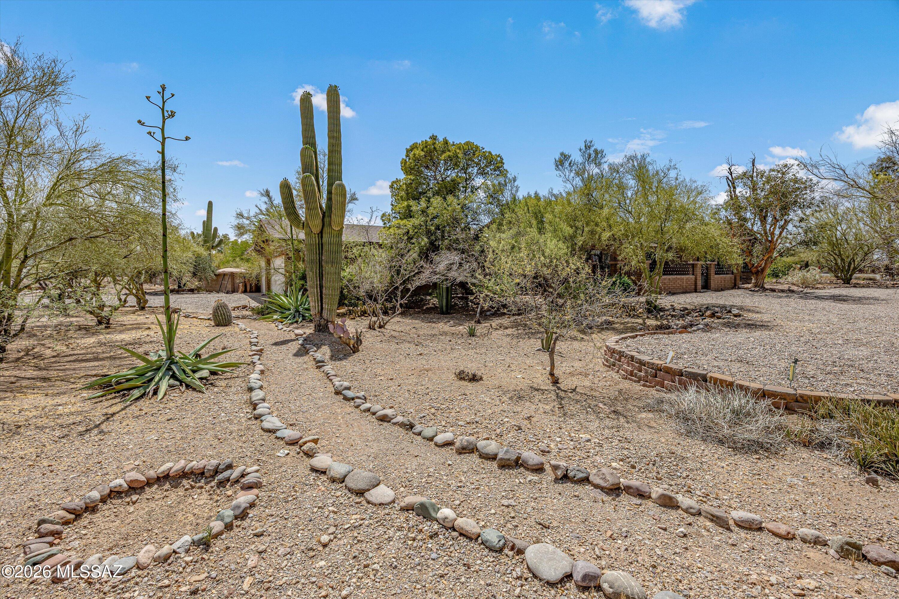 Sahuaros Grandes Amended - Residential