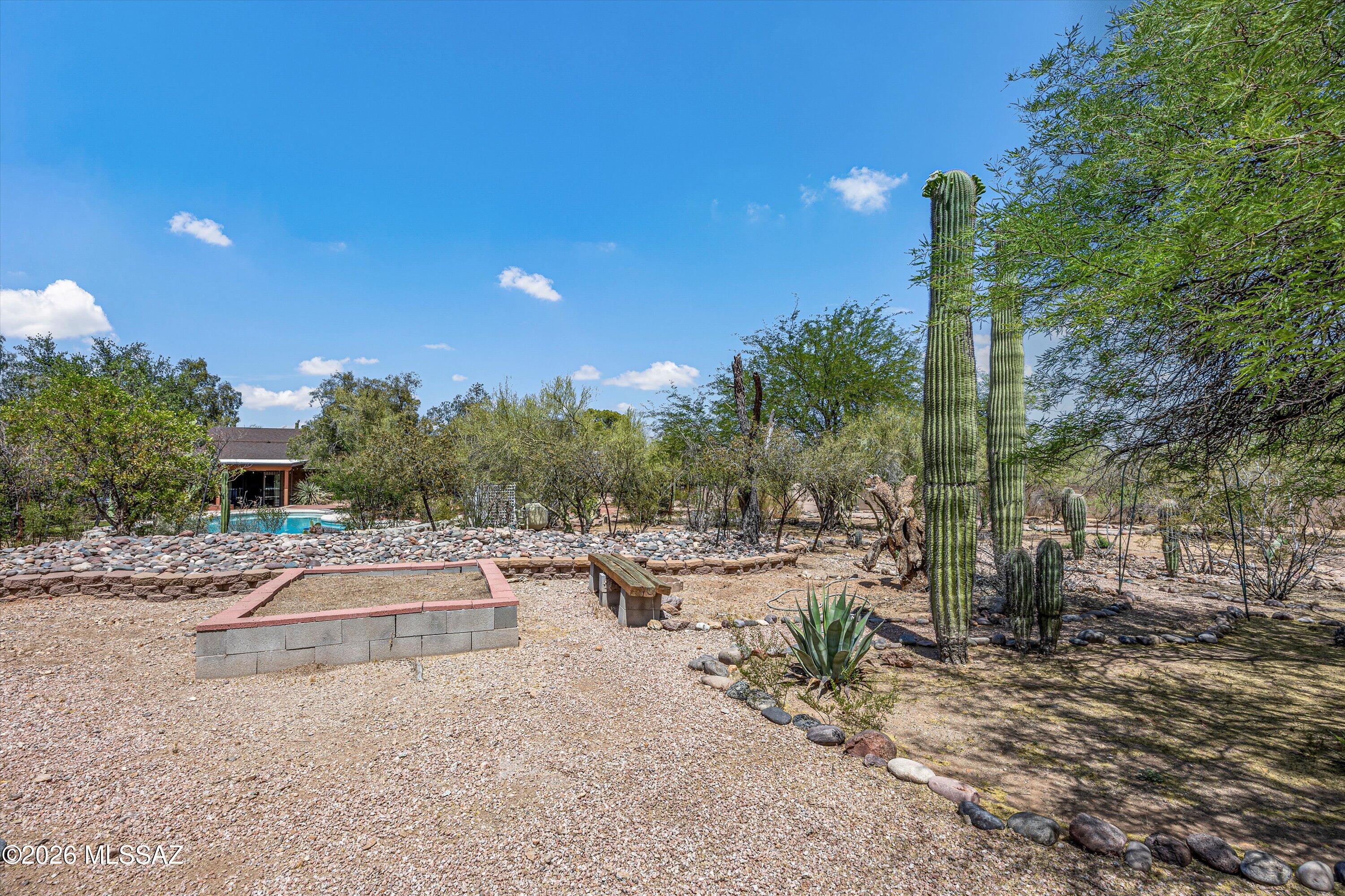 Sahuaros Grandes Amended - Residential