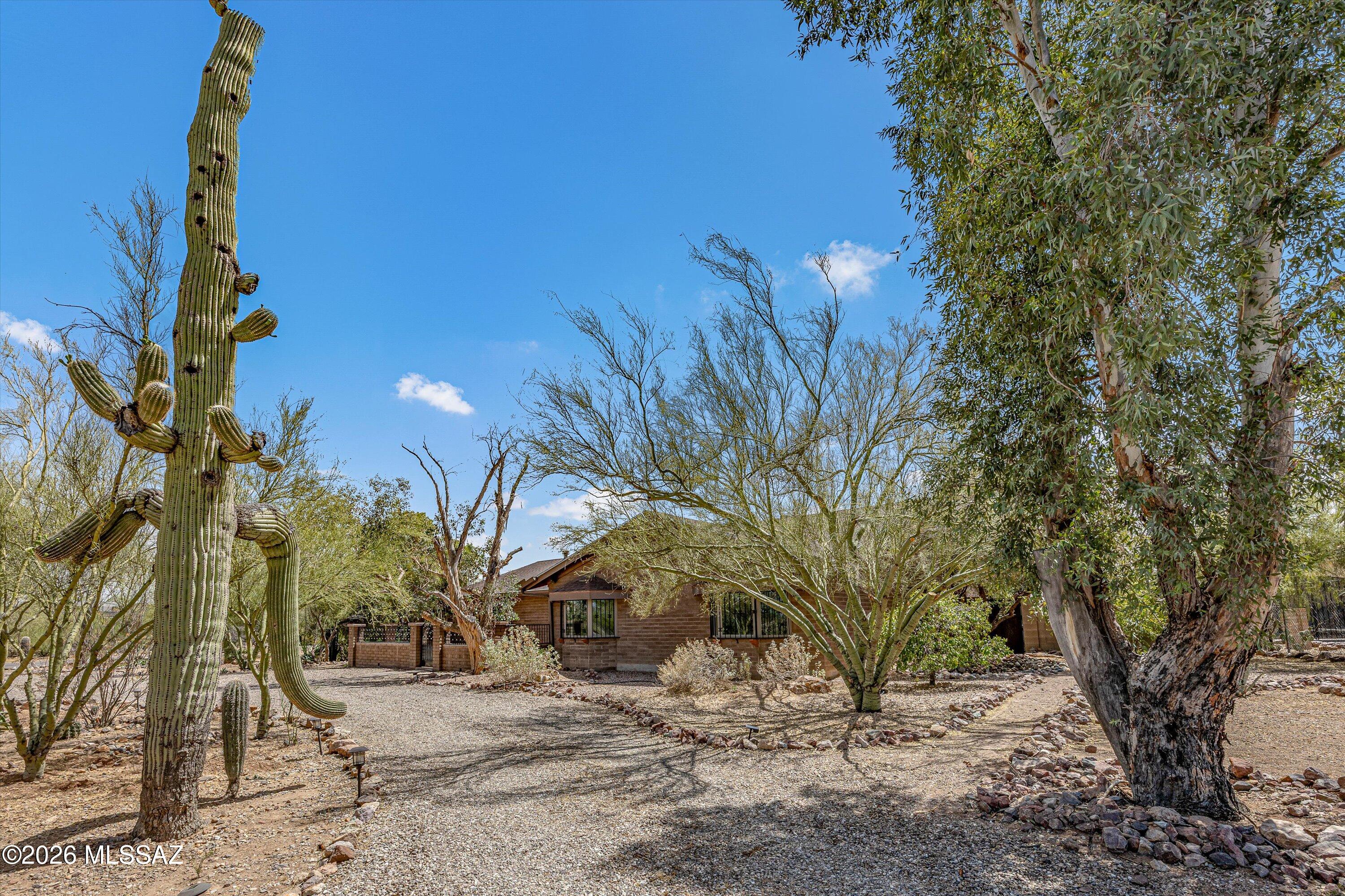 Sahuaros Grandes Amended - Residential