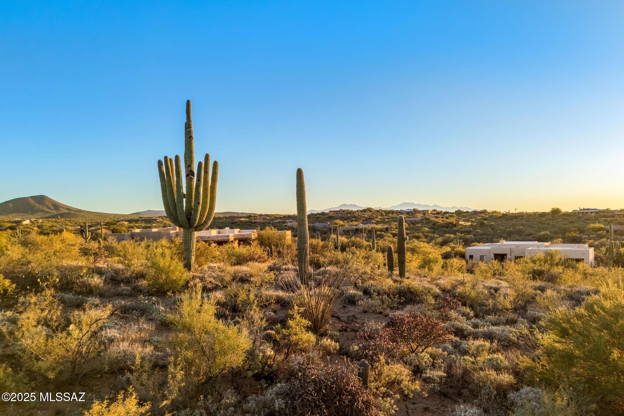 Welcome to Coyote Creek, a premier gated enclave set in the pristine Rincon Valley, just moments from Saguaro National Park. Thoughtfully designed to preserve open space and the surrounding natural landscape, Coyote Creek offers a rare sense of serenity and connection to the Sonoran Desert.
This exceptional offering presents a 1.937-acre lot, providing maximum privacy and flexibility with multiple options for an ideal and easily accessible building envelope. Enjoy unobstructed, panoramic views of the Rincon Mountains and Catalina Mountains, framed by breathtaking sunrises and sunsets that define desert living at its finest. The property is adorned with mature saguaros, indigenous mesquite trees, and native desert vegetation, creating a stunning natural setting that feels both private and timeless. Situated on a quiet cul-de-sac, this homesite blends space, tranquility, and scenic beauty that is an ideal canvas for a custom desert retreat.
A unique opportunity exists to build your dream home while retaining the second parcel for added privacy, or to sell the additional acreage as a future investment.
Community amenities include state-of-the-art equestrian facilities, pickleball, tennis and basketball courts, and convenient access to horse and walking trails that is all within the highly regarded Vail School District.
If you're seeking refined desert serenity in one of Southern Arizona's most distinctive gated communities, you'll find it here at Coyote Creek. Contact the listing agent for a private tour and to explore building envelope opportunities.