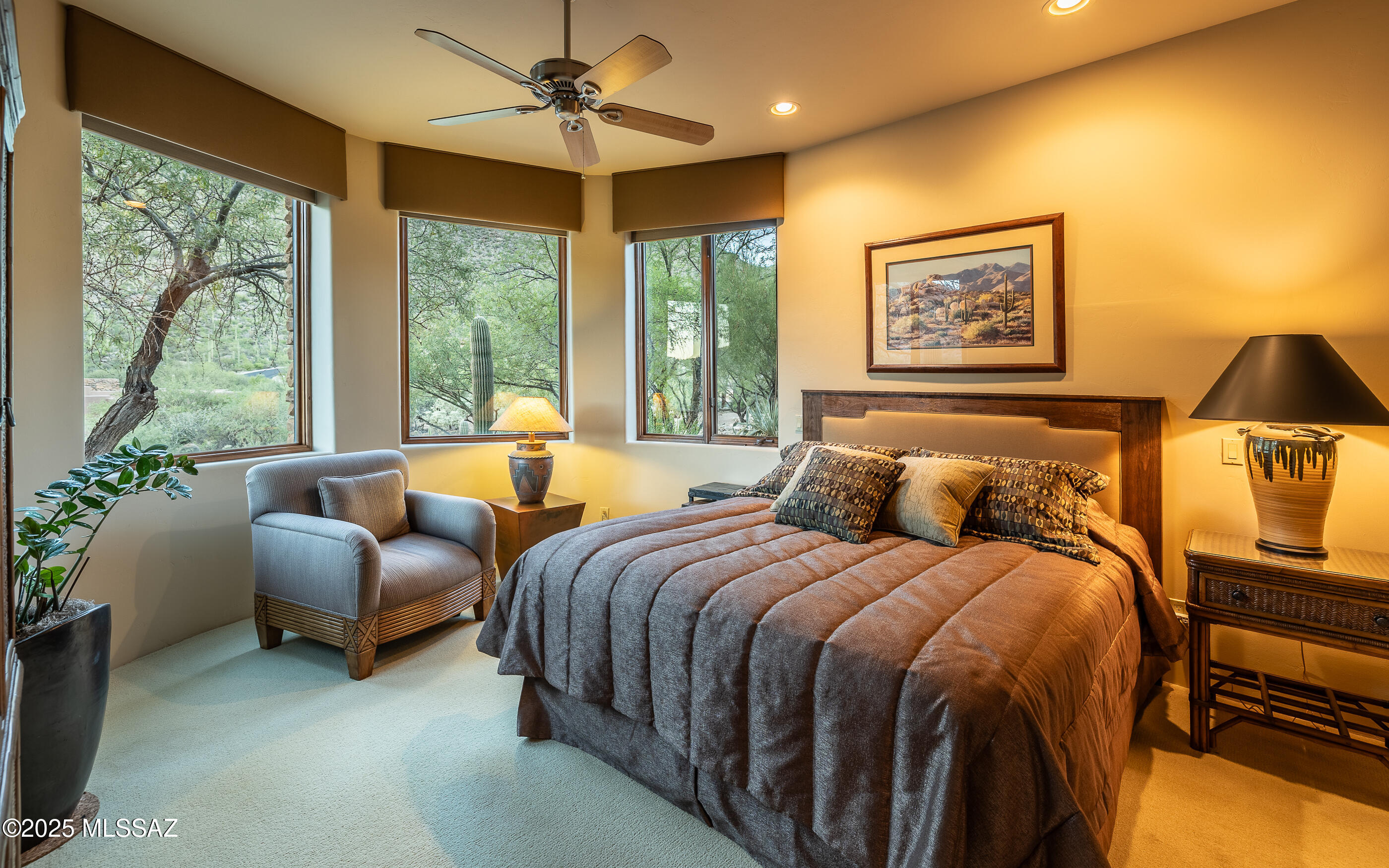 Canyon Pass At Dove Mountain - Residential