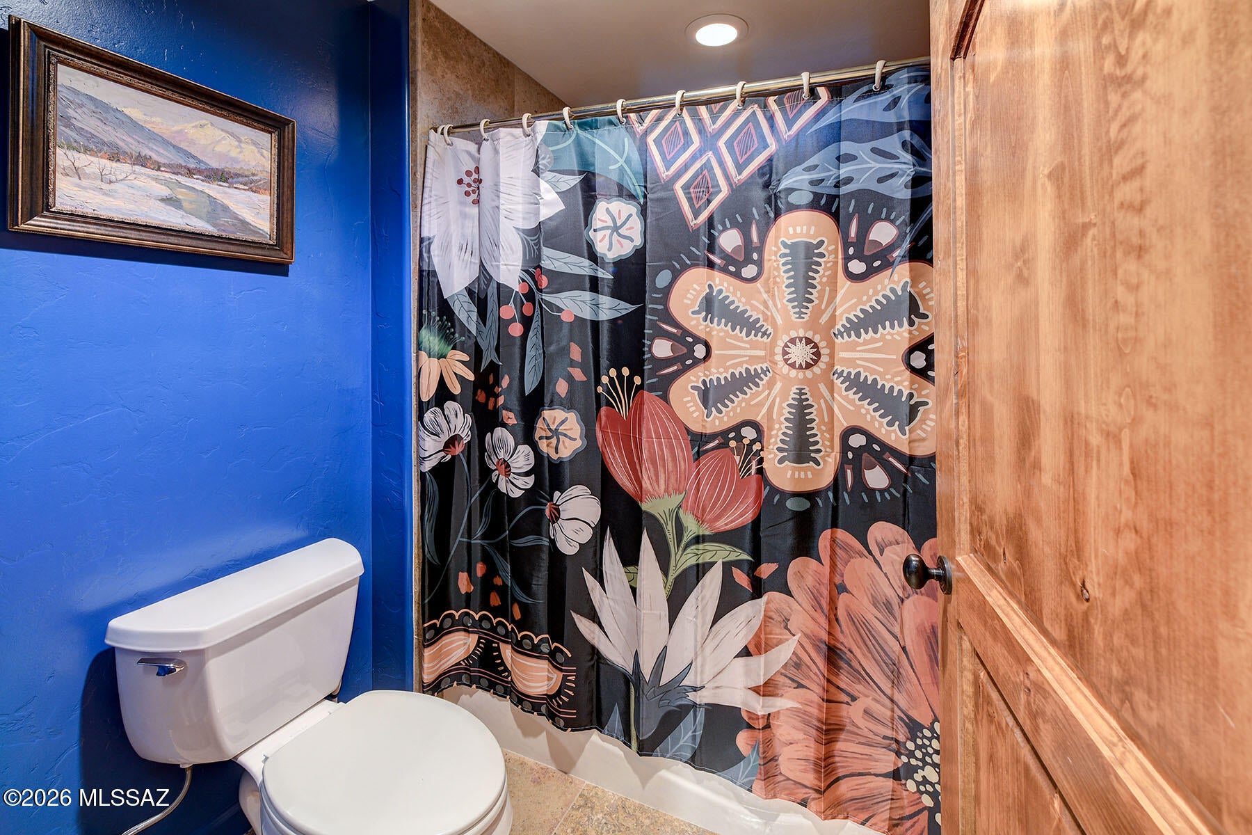 Sabino Mountain (1-290) - Residential