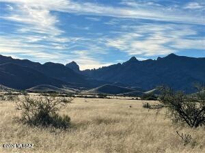 Secluded, private and quiet parcel with +/- 2.24 acres. Plenty of room to make your dream home and have plentey of room for a garden and animals. Electric is appx 500' or go off grid. Property is located near the beautiful Dragoon Mountains and famous Cochise Stronghold. The views are amazing. Perfect area for riding horses, hiking, riding quads or rock climbing.
Don't wait too long, this is a great opportunity to build your dream.