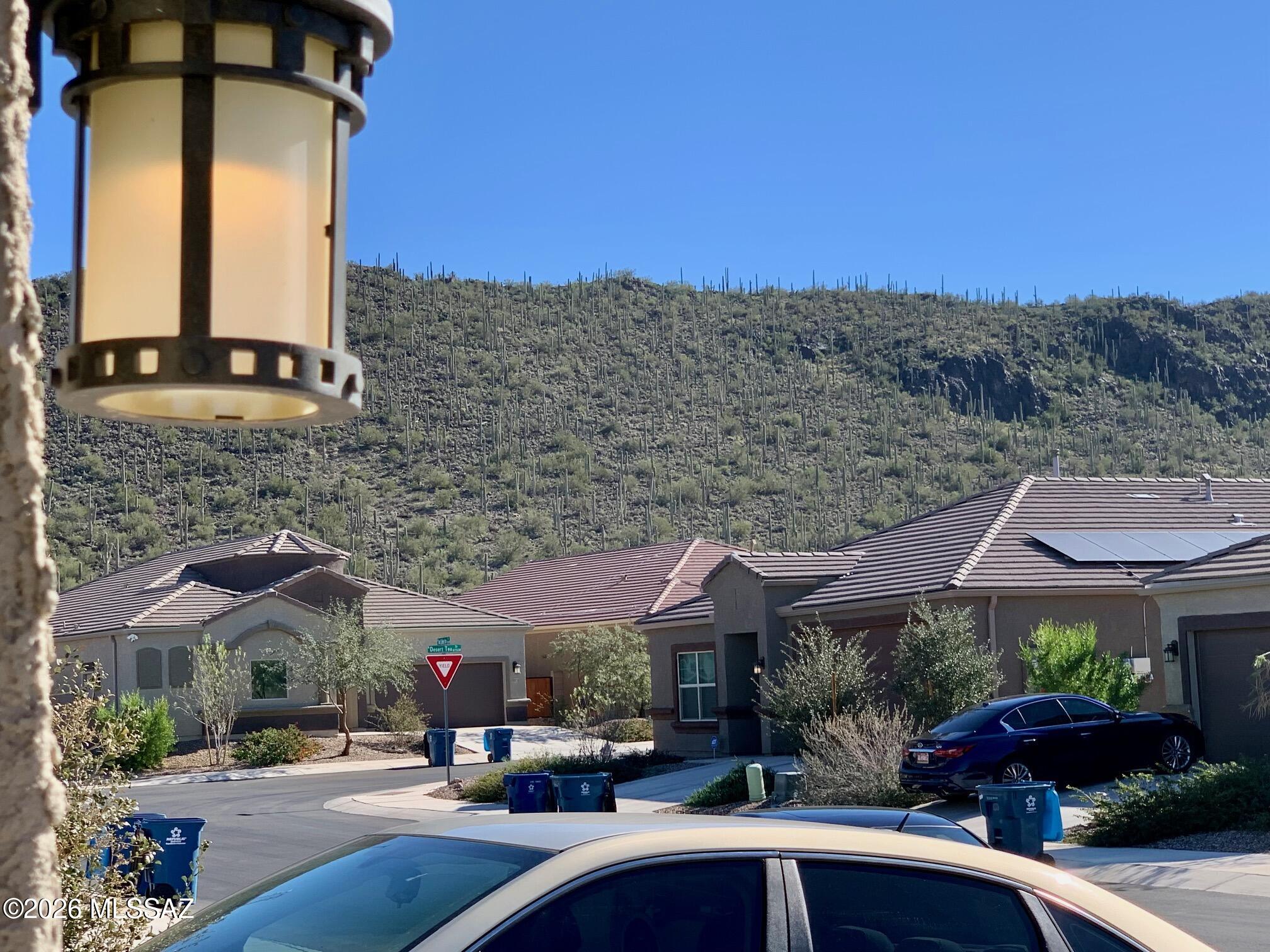 Saguaro Bloom 7B - Residential