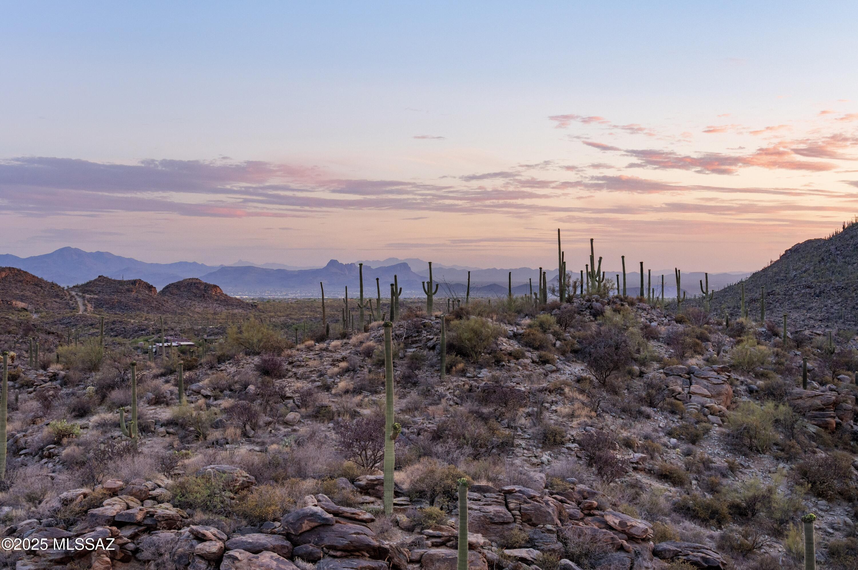 Saguaro Ranch (9-52) Blks. 1-4 - Residential