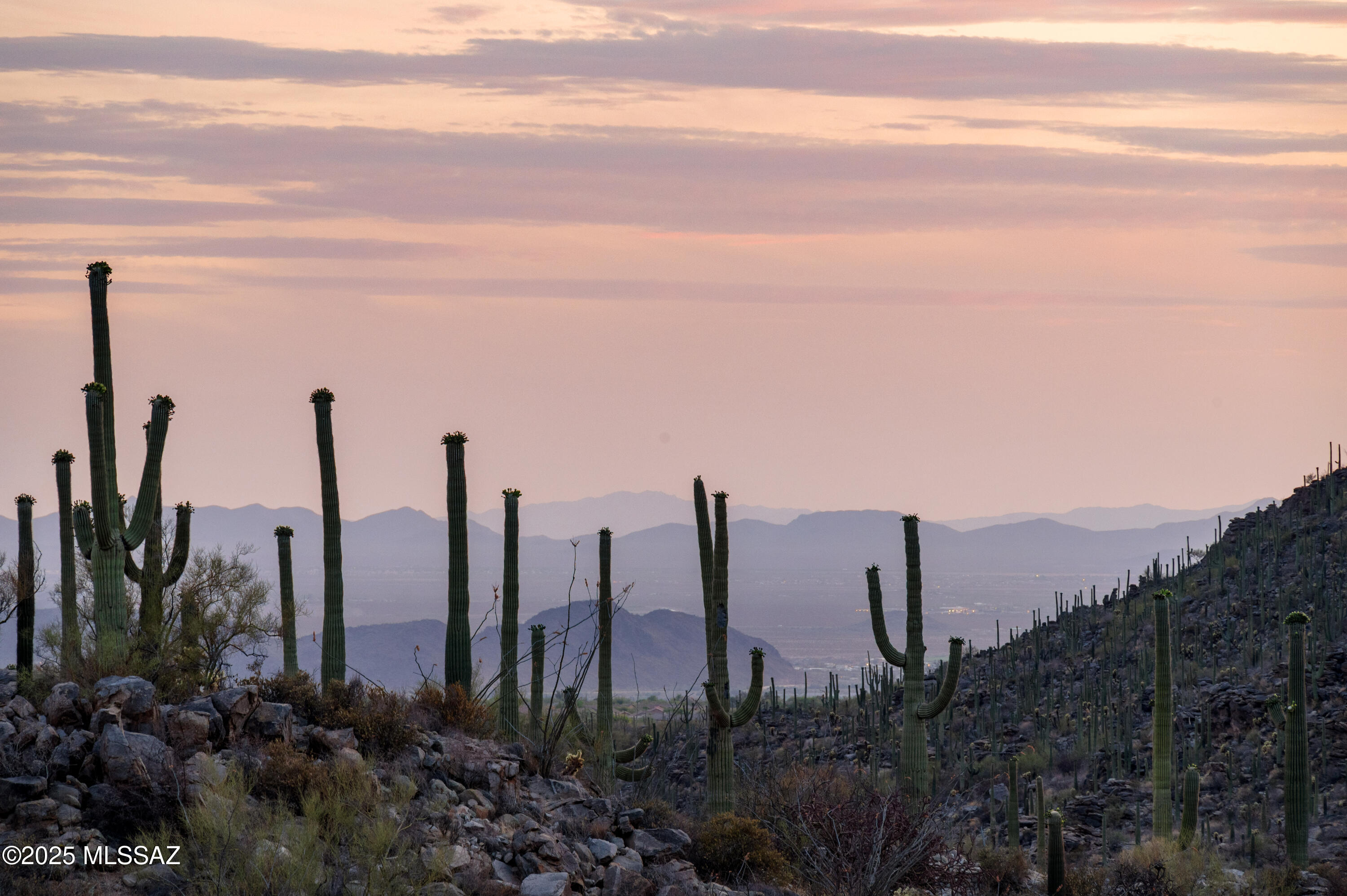 Saguaro Ranch (9-52) Blks. 1-4 - Residential