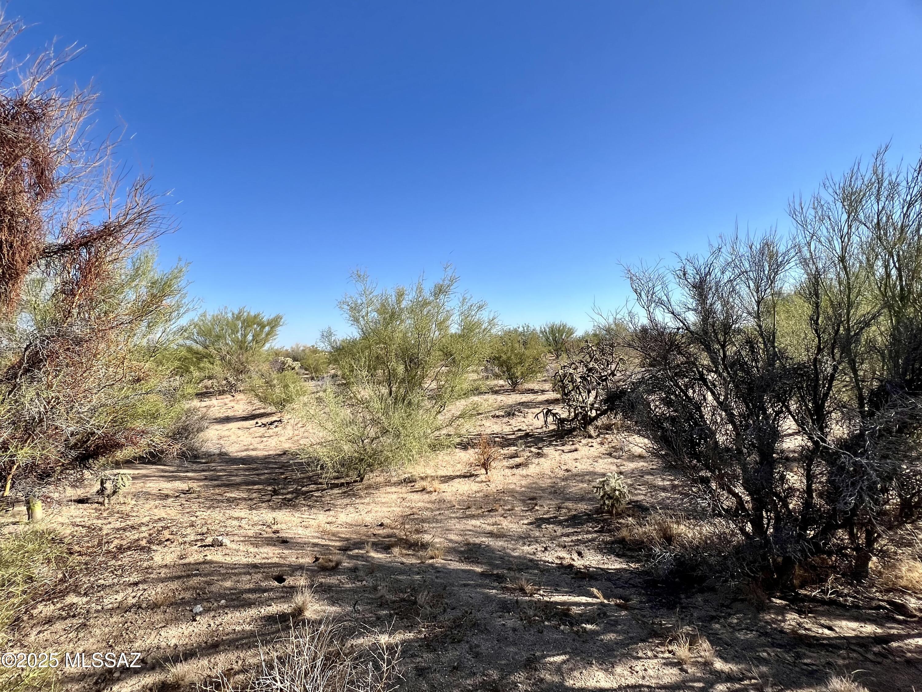 Diamond Bell Ranch - Tucson Unit 7 (Lots 1-15) - Land