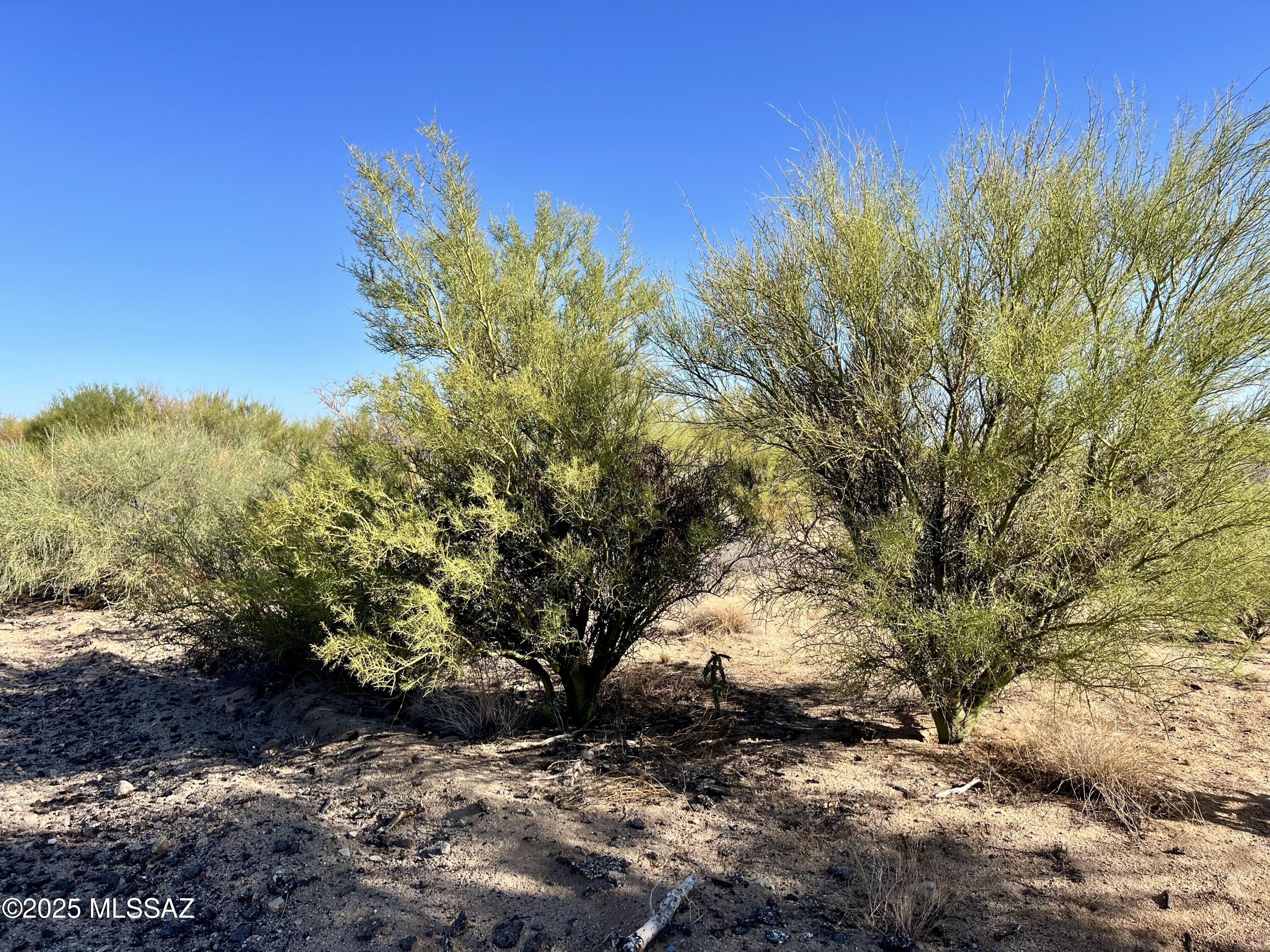 Diamond Bell Ranch - Tucson Unit 7 (Lots 1-15) - Land