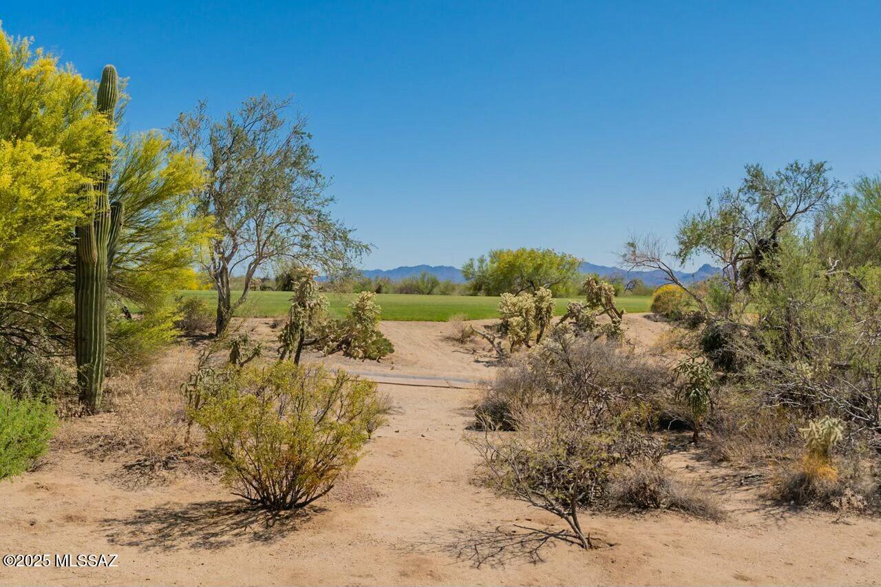 Dos Lagos at Dove Mountain (1-91) - Residential