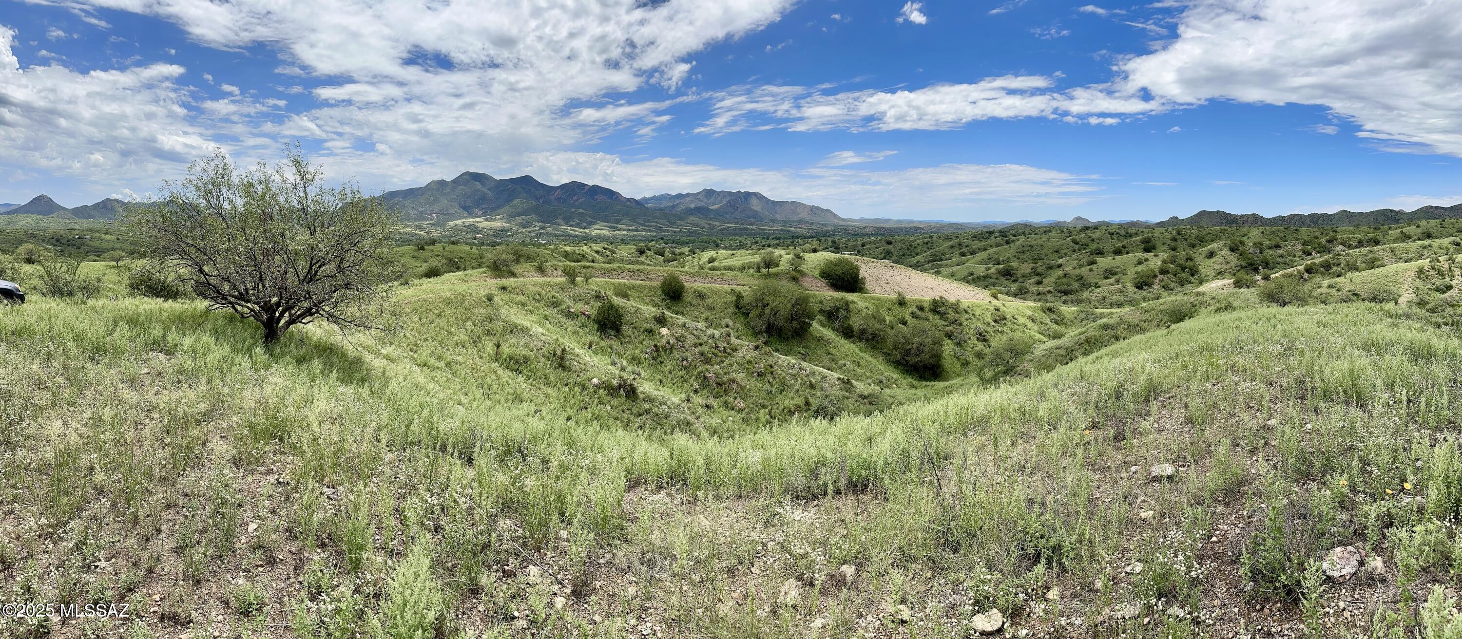 Great Views of Red Mountain, Santa Ritas Mountains and Patagonia below. The property is perfect for off grid living, rolling terrain for privacy, no HOA, attractive CC & R's, a good area for wells, electric is available at the lot line of parcel 2 or the entire 35+ acres. Lush vegetation, canyons and hilltops. Fence is not any property lines. Abundant wildlife close to National Forest. Close to Town of Patagonia yet private and rural.