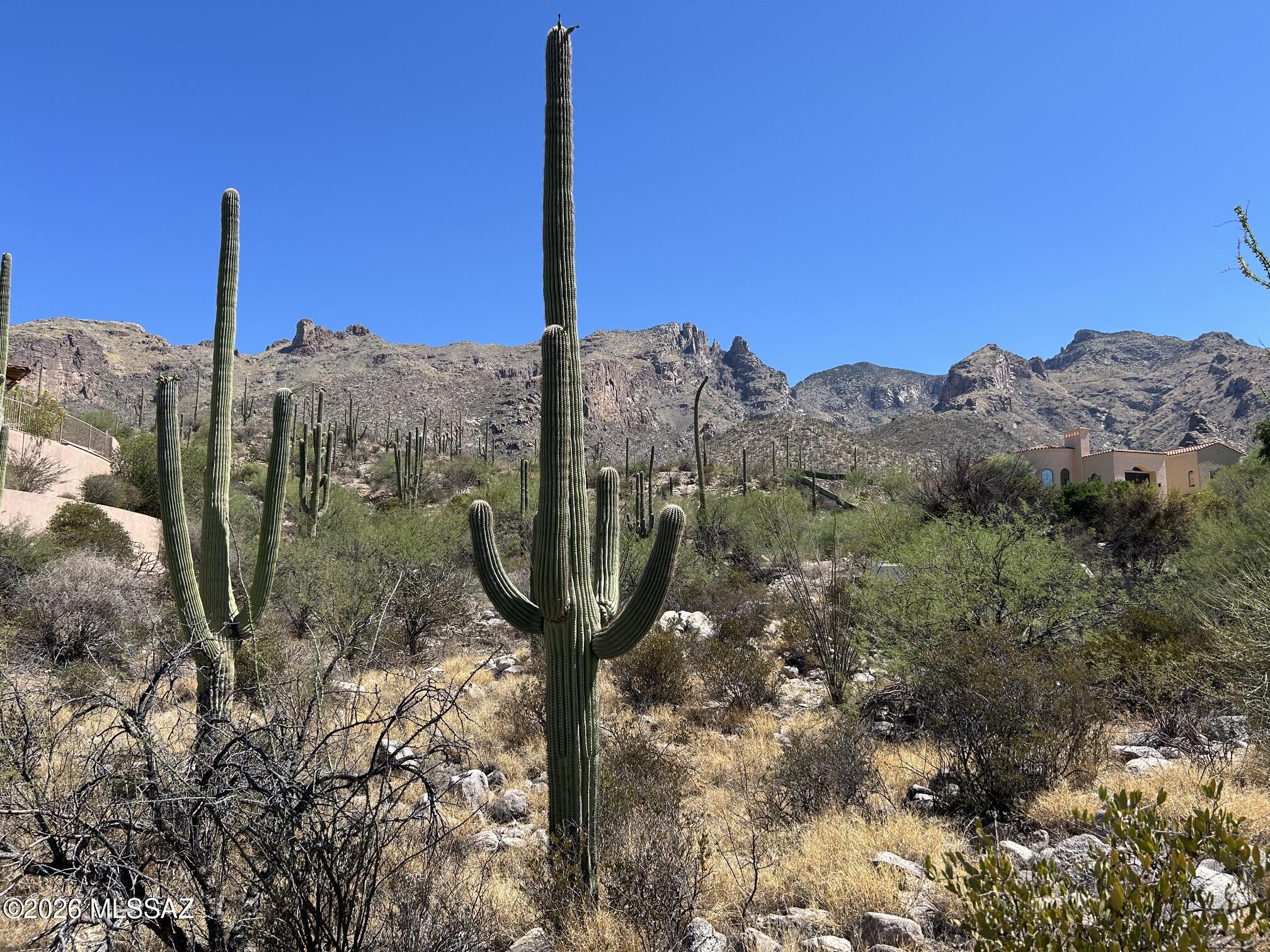 One of the last opportunities to build your custom dream home in a prestigious, gated community in the central foothills; The Foothills II.  Create your driveway through an area of OLD GROWTH SAGUAROS to the rear of the site for DRAMATIC UNOBSTRUCTED CATALINA MTN VIEWS and partial City views to the South and Southwest. Gently sloped and elevated from the street to build a single or multi-level design. Surrounded by stunning multi-million-dollar custom homes, this is a rare chance to create a legacy property in one. of Tucson's most desirable gated communities. Residents enjoy low HOA fees, reasonable CC&Rs, and access to the award-winning Catalina Foothills School District 16, including Sunrise Drive Elementary and Orange Grove Middle School.
Whether you're ready to build now or invest in one of the Foothills' most coveted neighborhoods, opportunities like this are becoming increasingly rare.