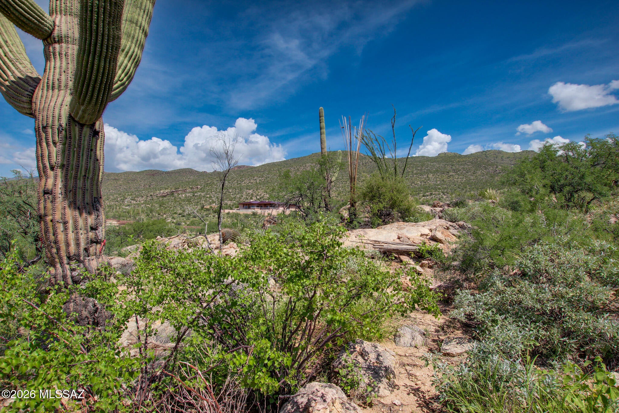 Fetzer Ranch (1-60) - Land