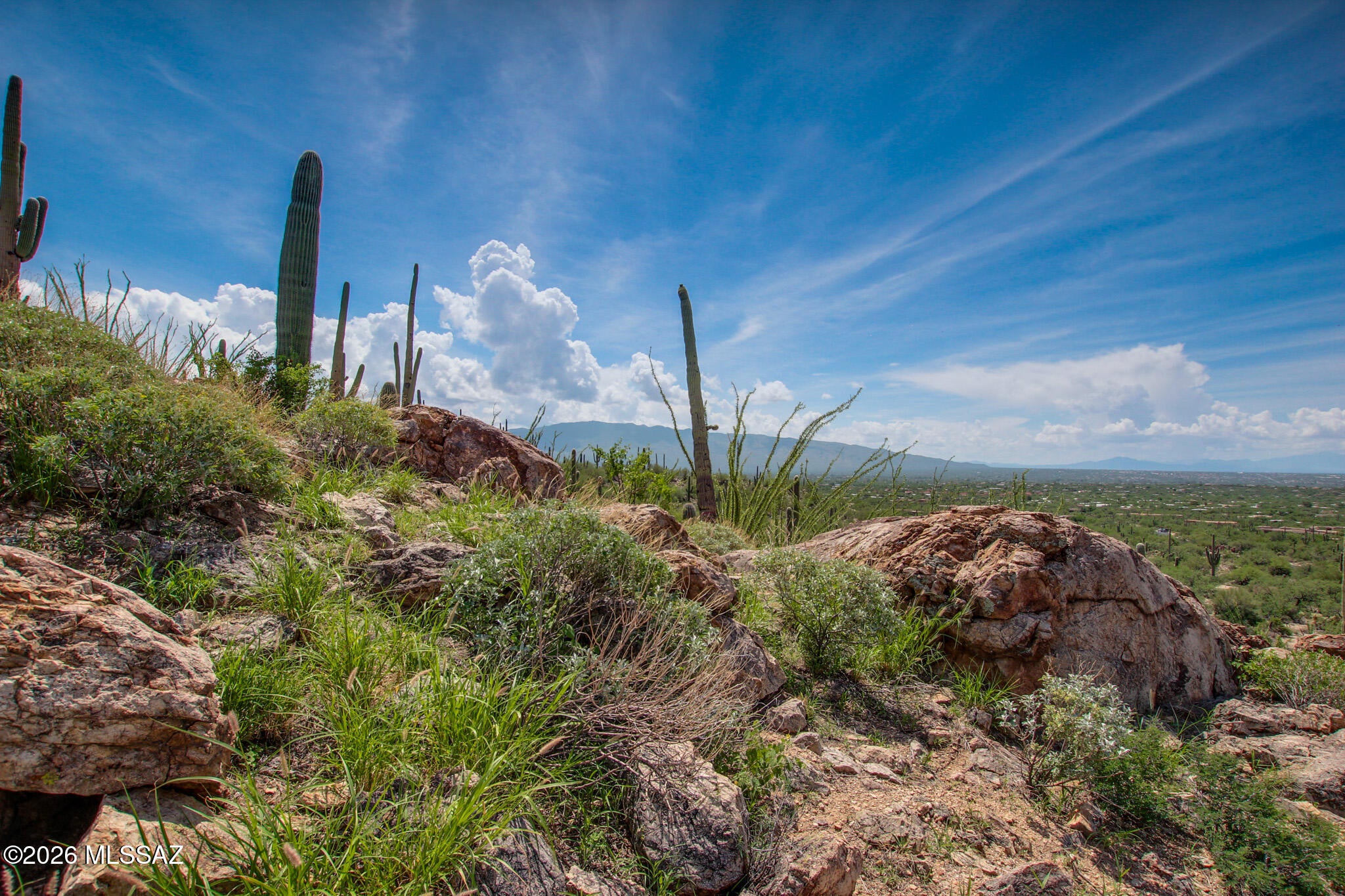 Fetzer Ranch (1-60) - Land