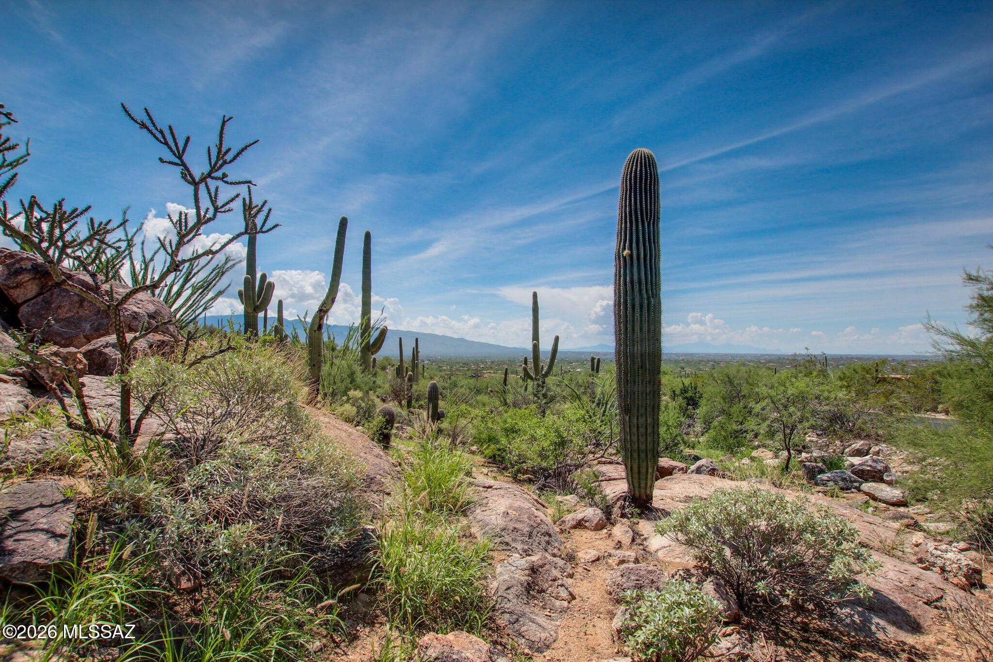 Fetzer Ranch (1-60) - Land