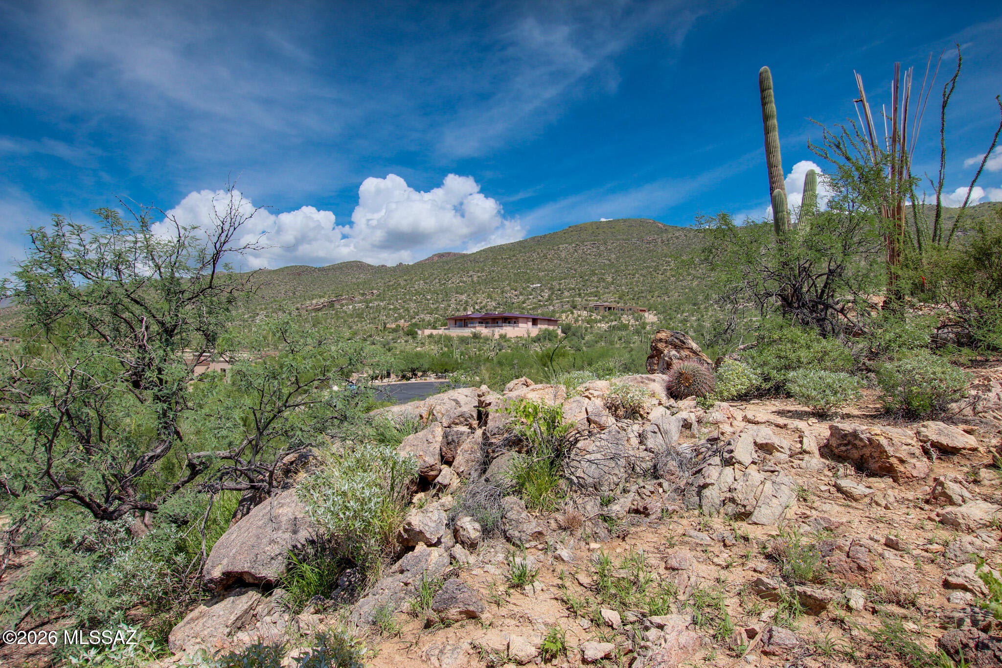 Fetzer Ranch (1-60) - Land