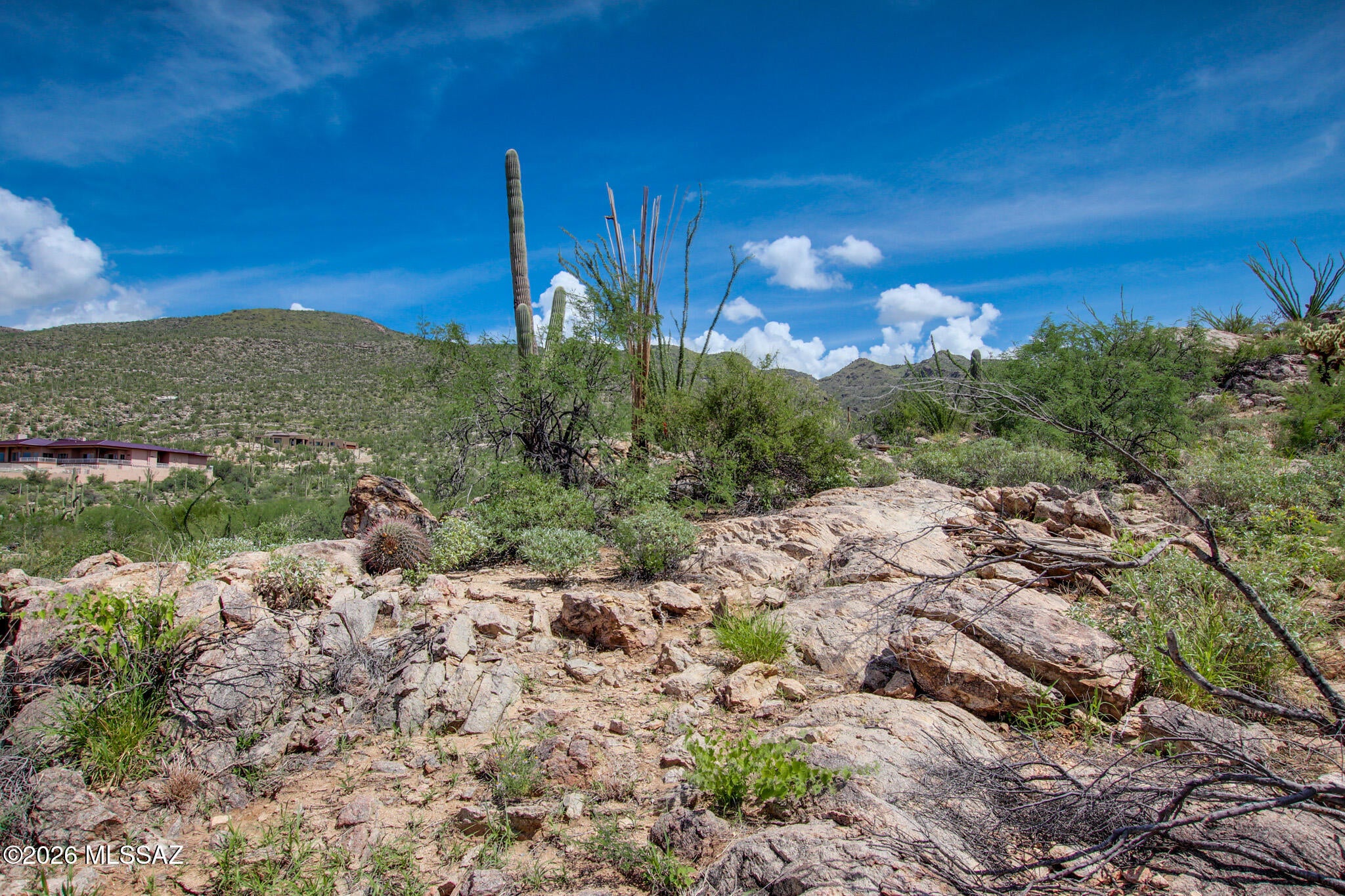 Fetzer Ranch (1-60) - Land