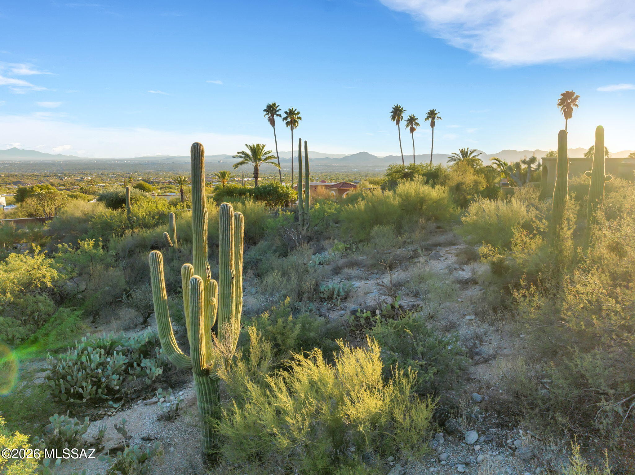 Catalina Ridge Estates(1-36) - Land