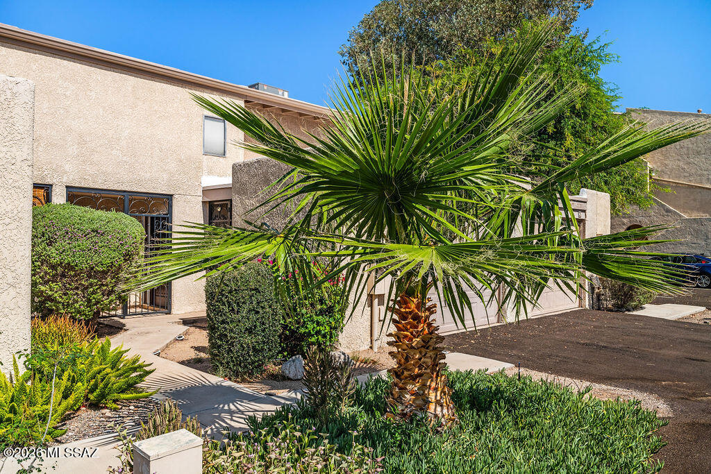 Pima Park (36-80) - Residential