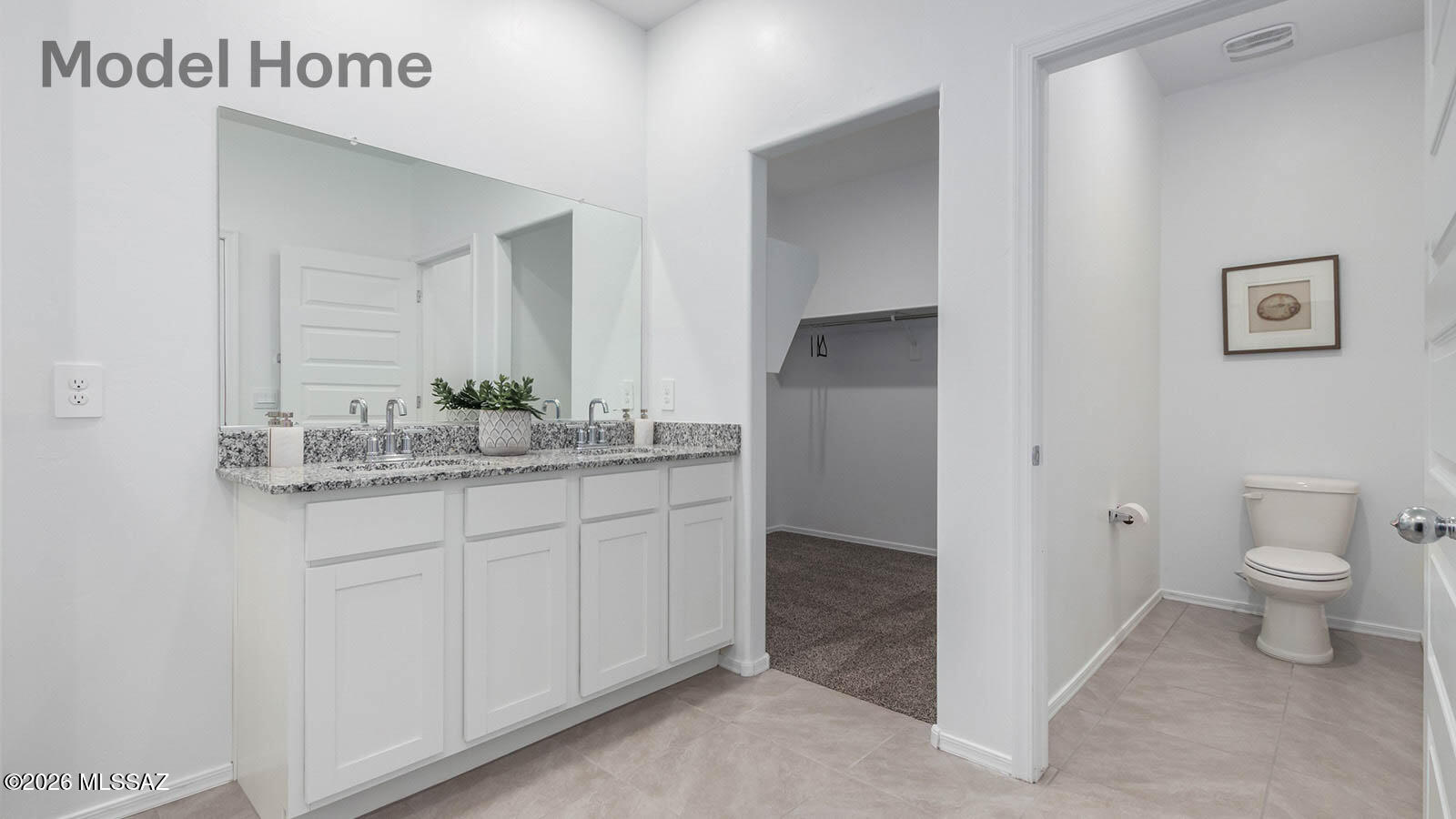Saguaro Bloom SQ20180540069 - Residential