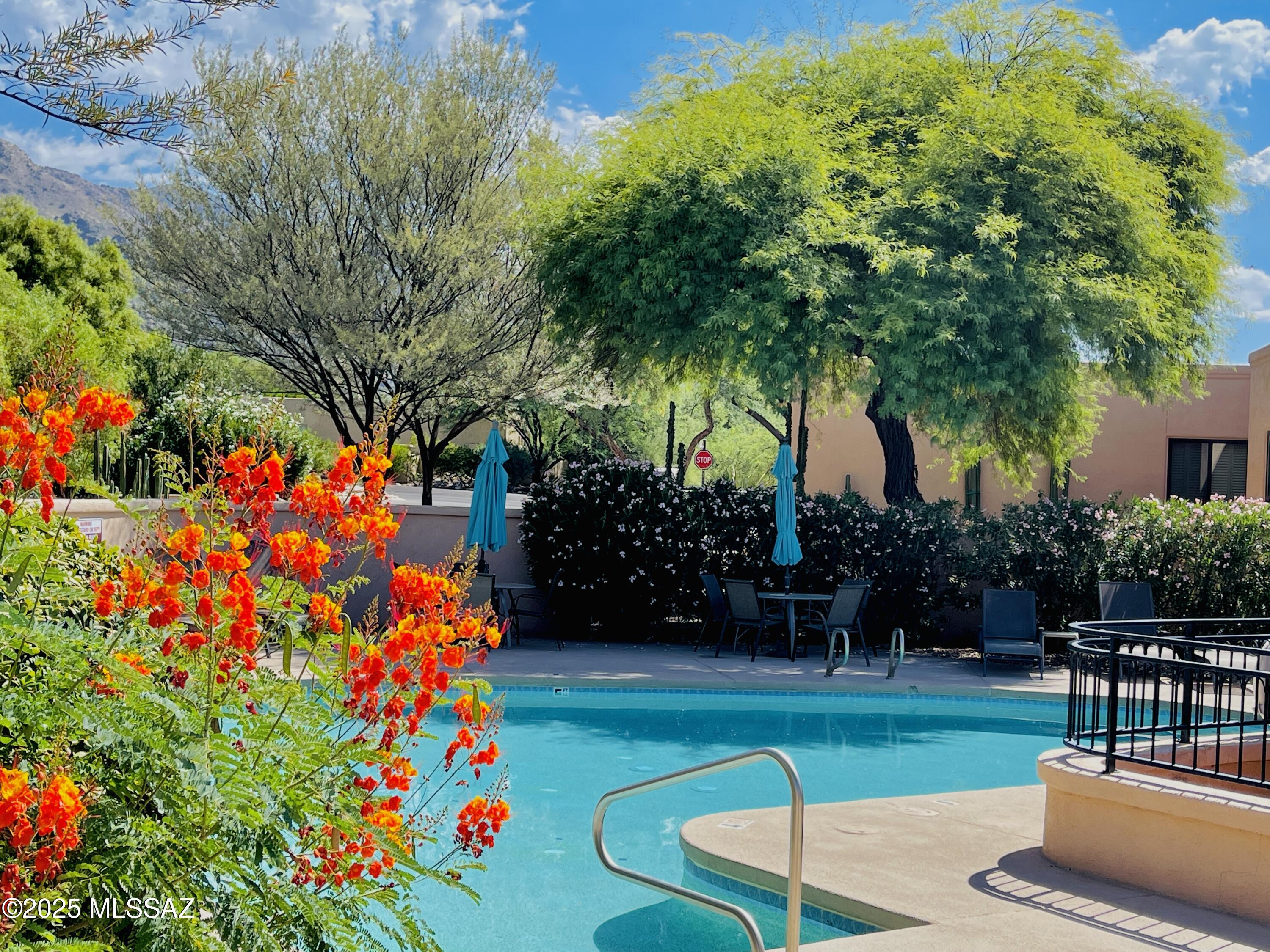Paloma Del Sol (1-50) - Residential Lease