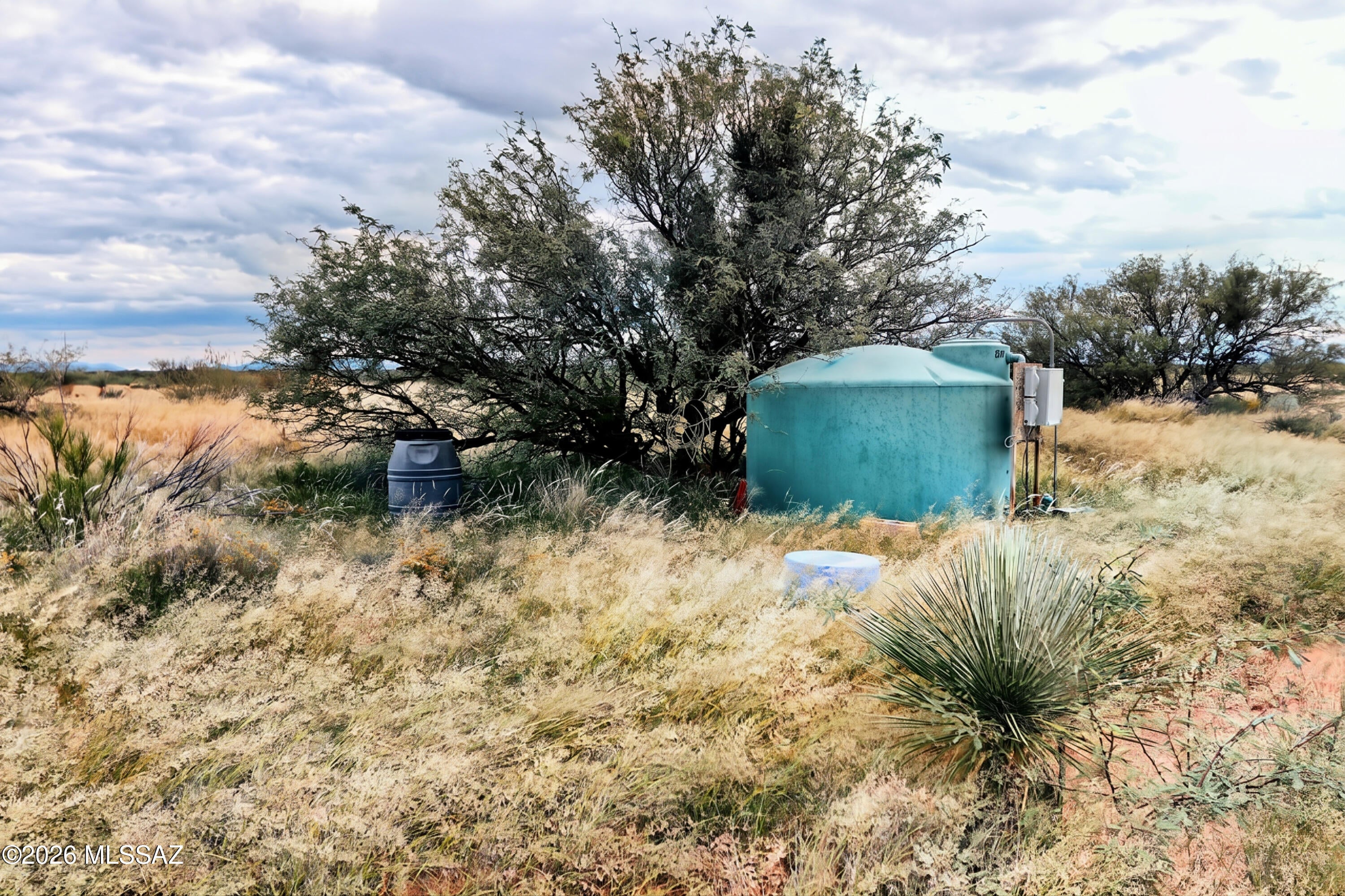 Dragoon Mountain Ranch - Land